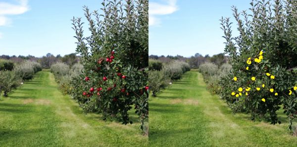 [로보틱스] 어노테이션 시간을 몇 개월에서 몇 시간으로 단축한 폭스 로보틱스(Fox Robotics)