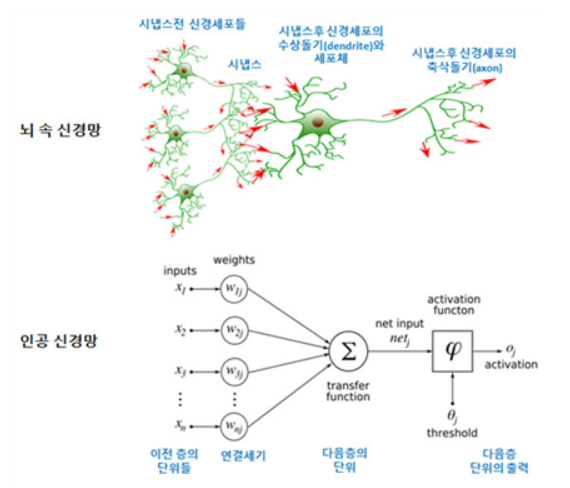 초거대 언어모델(LLM)과 인간의 두뇌: 딥러닝과 인간의 뇌 그리고 튜링테스트