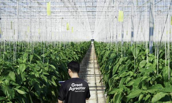 [애그테크] 8일 만에 9만 개의 인스턴스 라벨링을 완료한 '아이오크롭스'