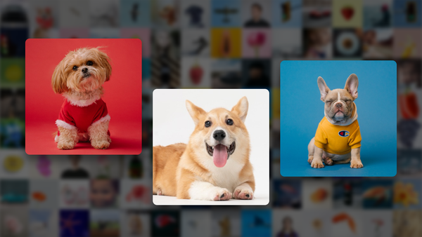 수 십만 장의 데이터를 분석해 학습용 데이터를 선별해야 할 때: Auto-Curate "What to Label"