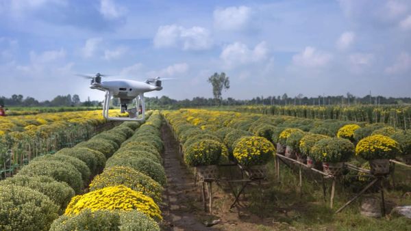 애그테크(AgTech) 컴퓨터 비전을 위한 데이터 소싱 가이드