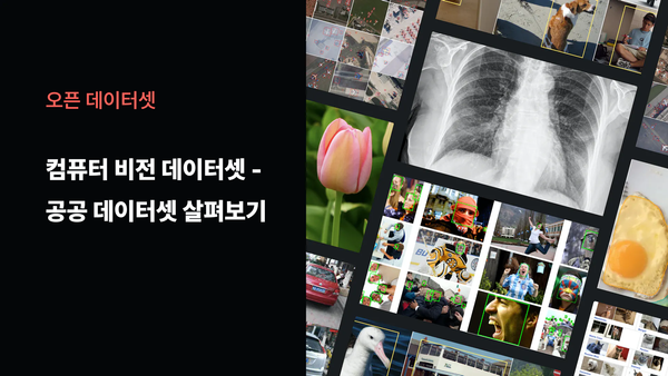 컴퓨터 비전 데이터셋 - 공공 데이터셋 살펴보기