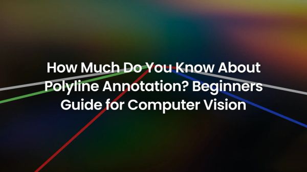 폴리라인 어노테이션에 대해 얼마나 알고 계신가요? 컴퓨터 비전 초심자를 위한 가이드