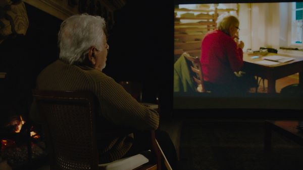 Les Arbres du Cinéma