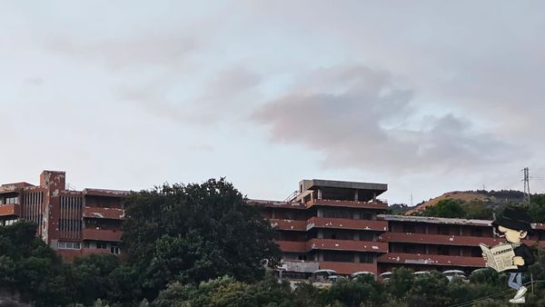 La Nuova Guardia, un peluche per un sorriso.