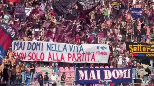 Bologna, dieci anni di attività dei Mai Domi.
