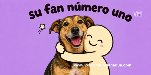 El abrazo que no pidió pero igual recibió 🐾
