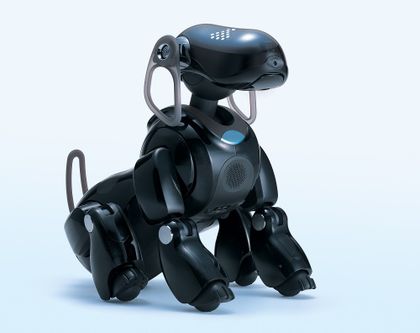 Discerning the Tail from the Dog