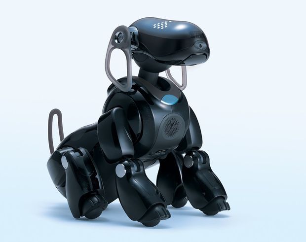 Discerning the Tail from the Dog