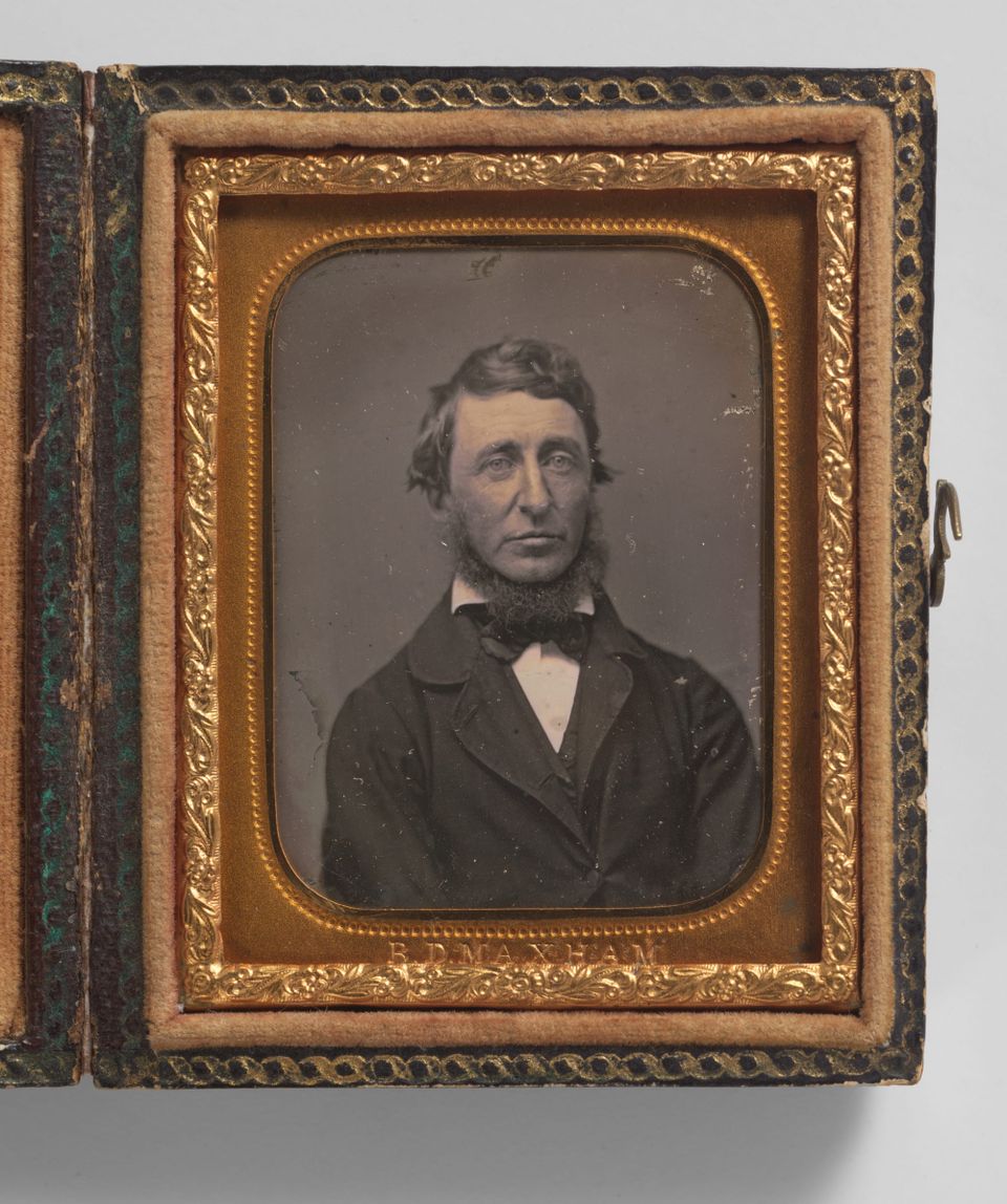 154. Hannah Arendt and Civil Disobedience -- John McGowan