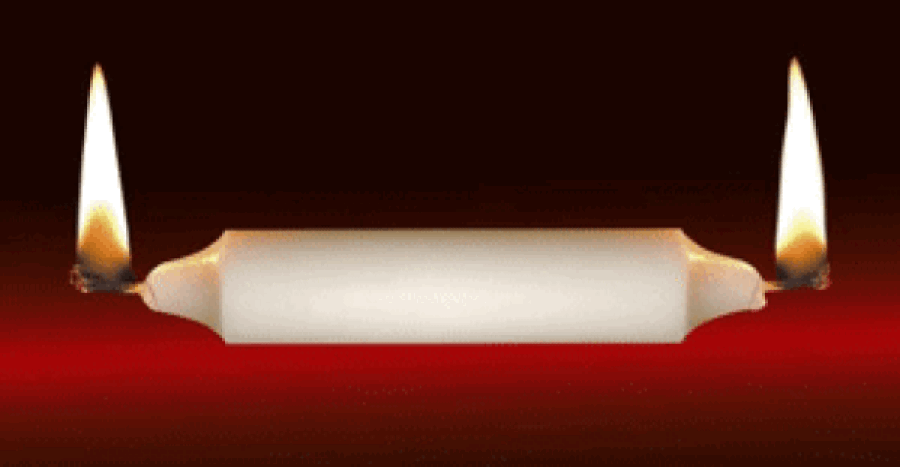 When You Cheer Political Violence, You Invite It Upon Yourself