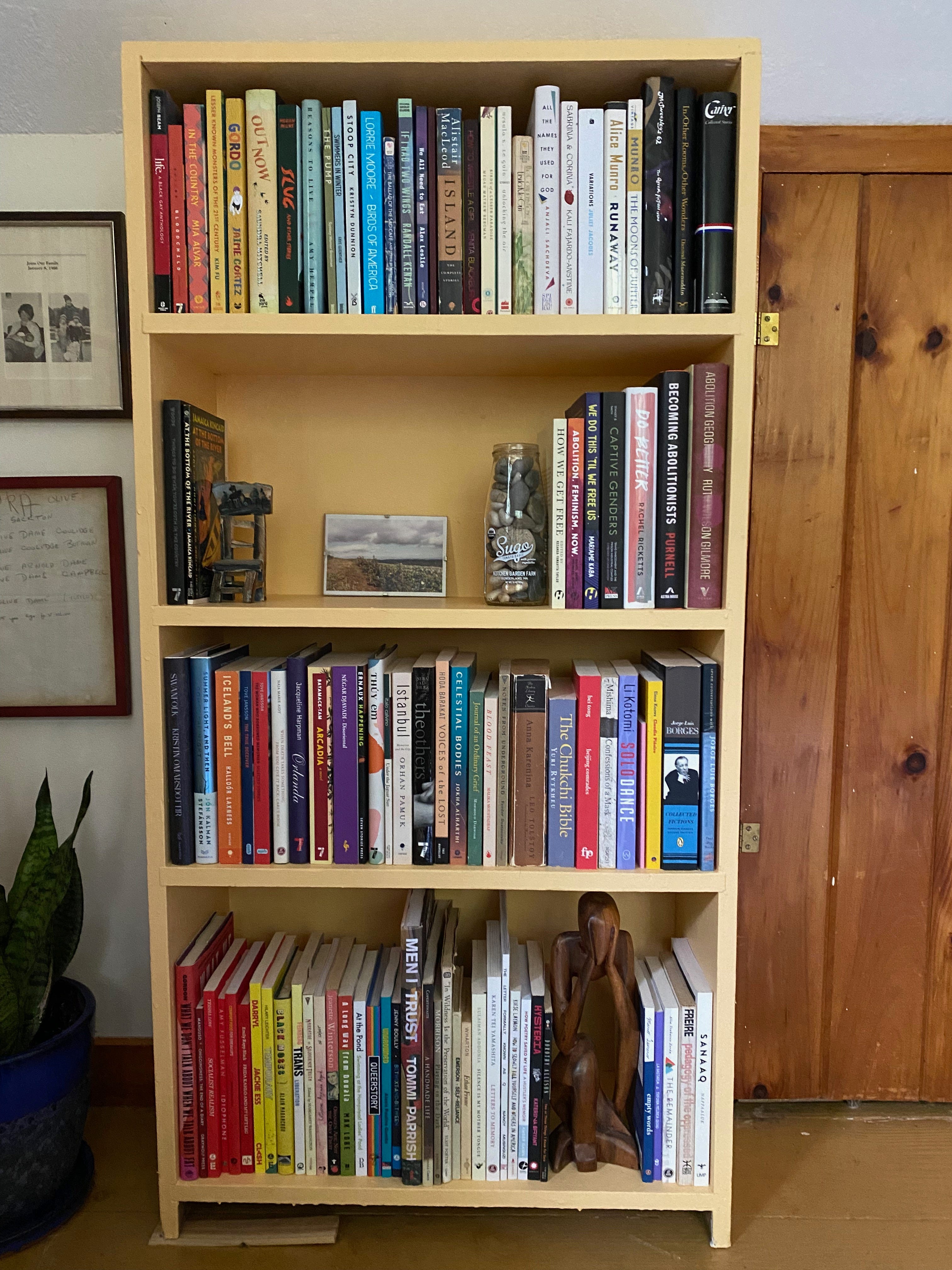 An orange bookshelf filled with the kinds of books listed above, and various knickknacks and photos.
