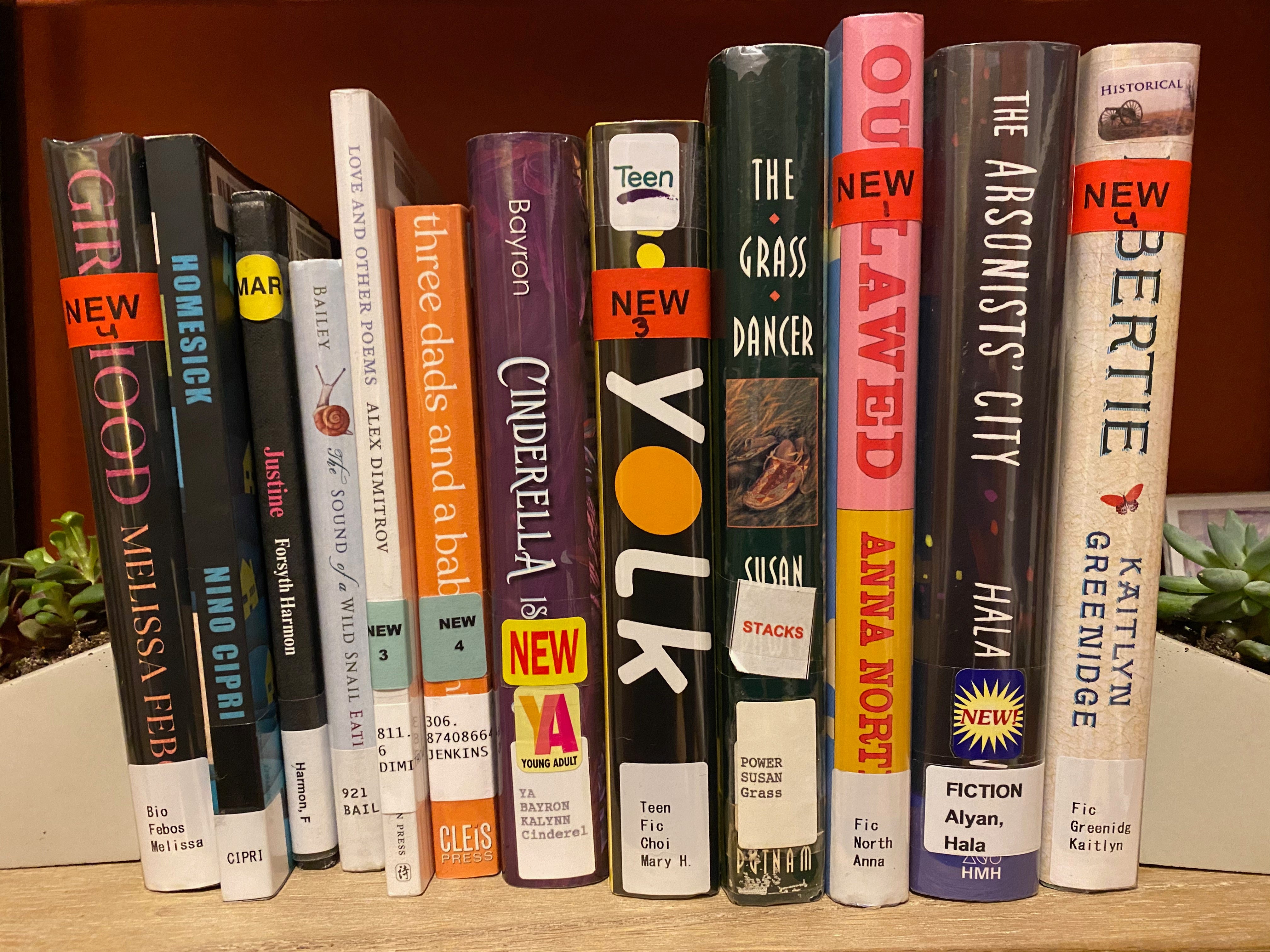 A shelf full of library books between two succulent planter bookends. The books are: Girlhood, Homesick, Justine, The Sound of a Wild Snail Eating, Love and Other Poems, Three Dads and a Baby, Cinderella is Dead, Yolk, The Grass Dancer, Outlawed, The Arsonists’ City, and Libertie.