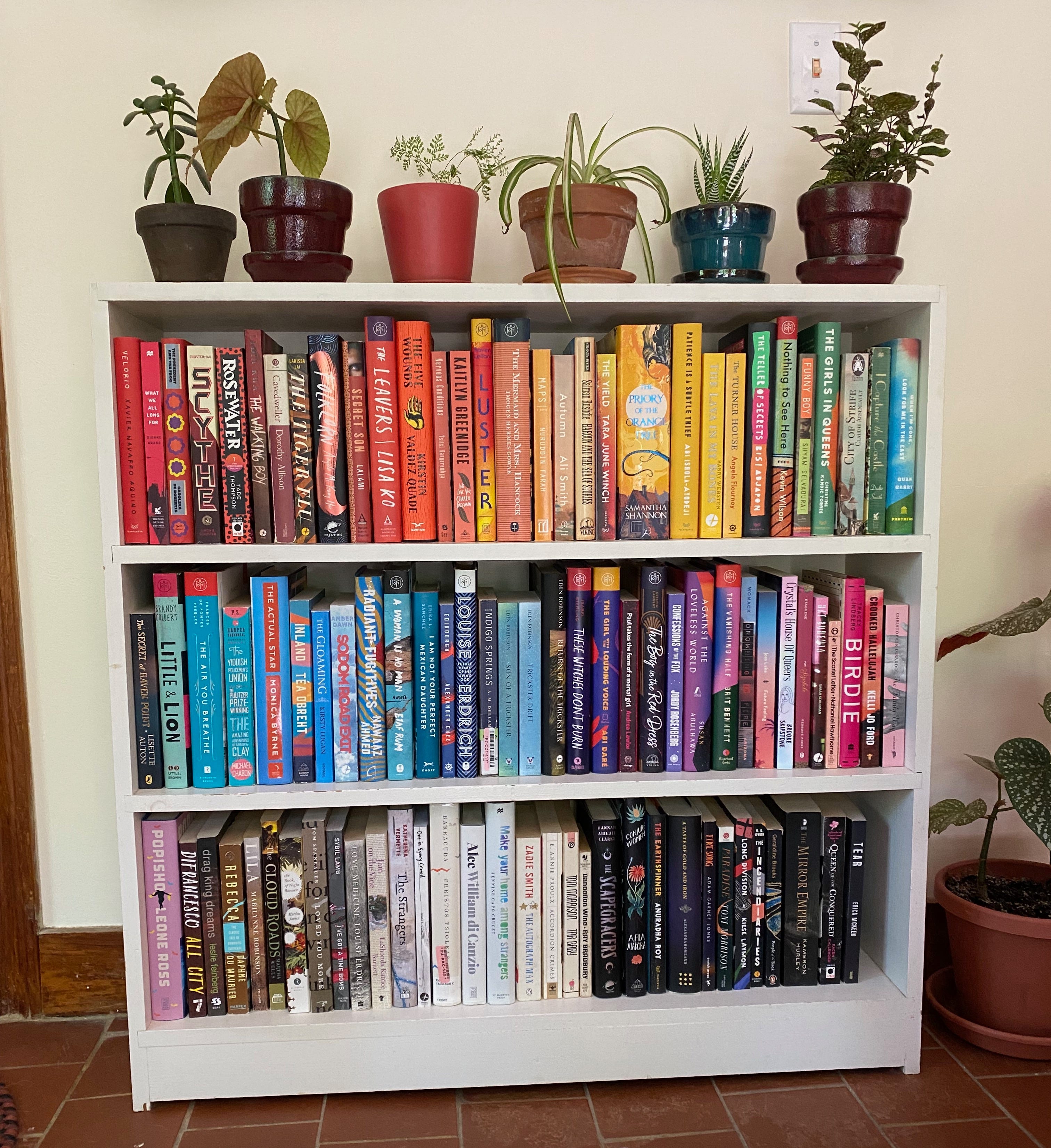 A white bookshelf filled with books organized in a rainbow pattern. Several small potted plants sit on top.