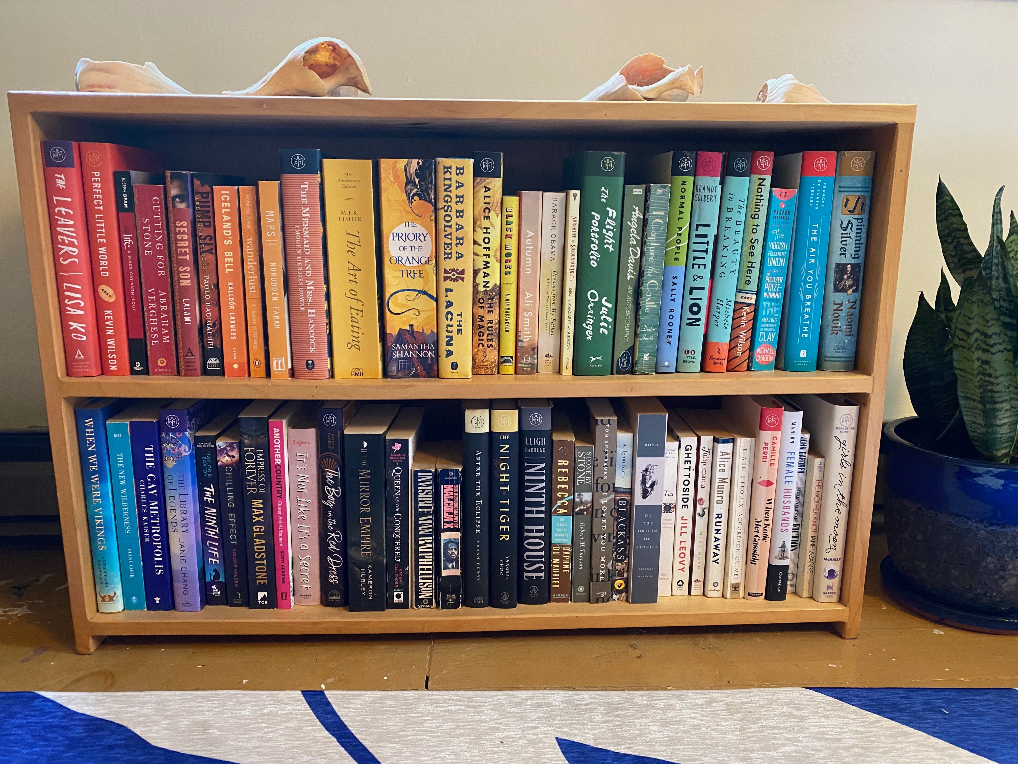 A low wooden bookcase against a wall. It contains two shelves of books organized like a rainbow. There are conch shells arranged on the top, and a snake plant in a blue pot on one side.