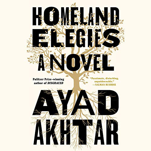 Cover of the audiobook version of Homeland Elegies.