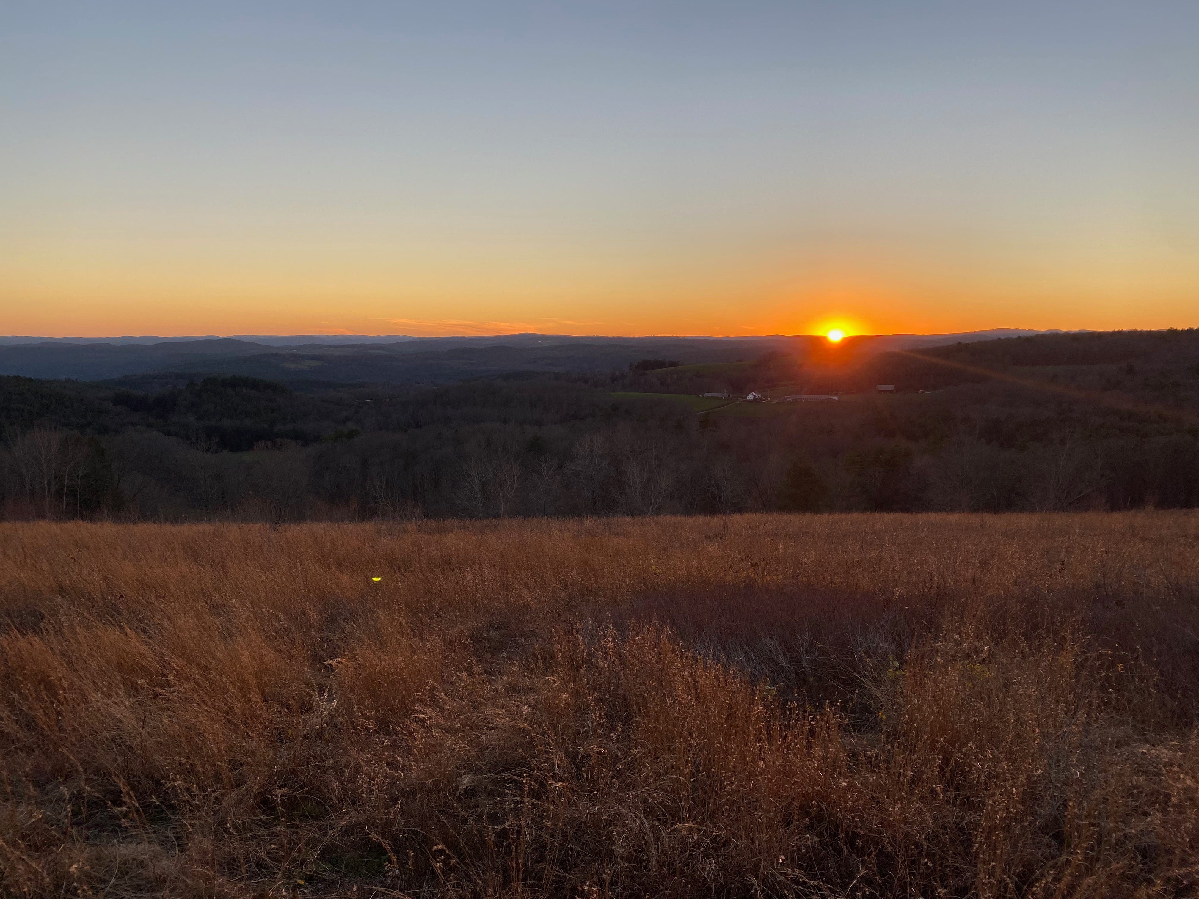 A golden sun low on the horizon, just setting behind a line of dark hills, under a clear blue sky. The grass on the hill in the foreground is tinged golden.