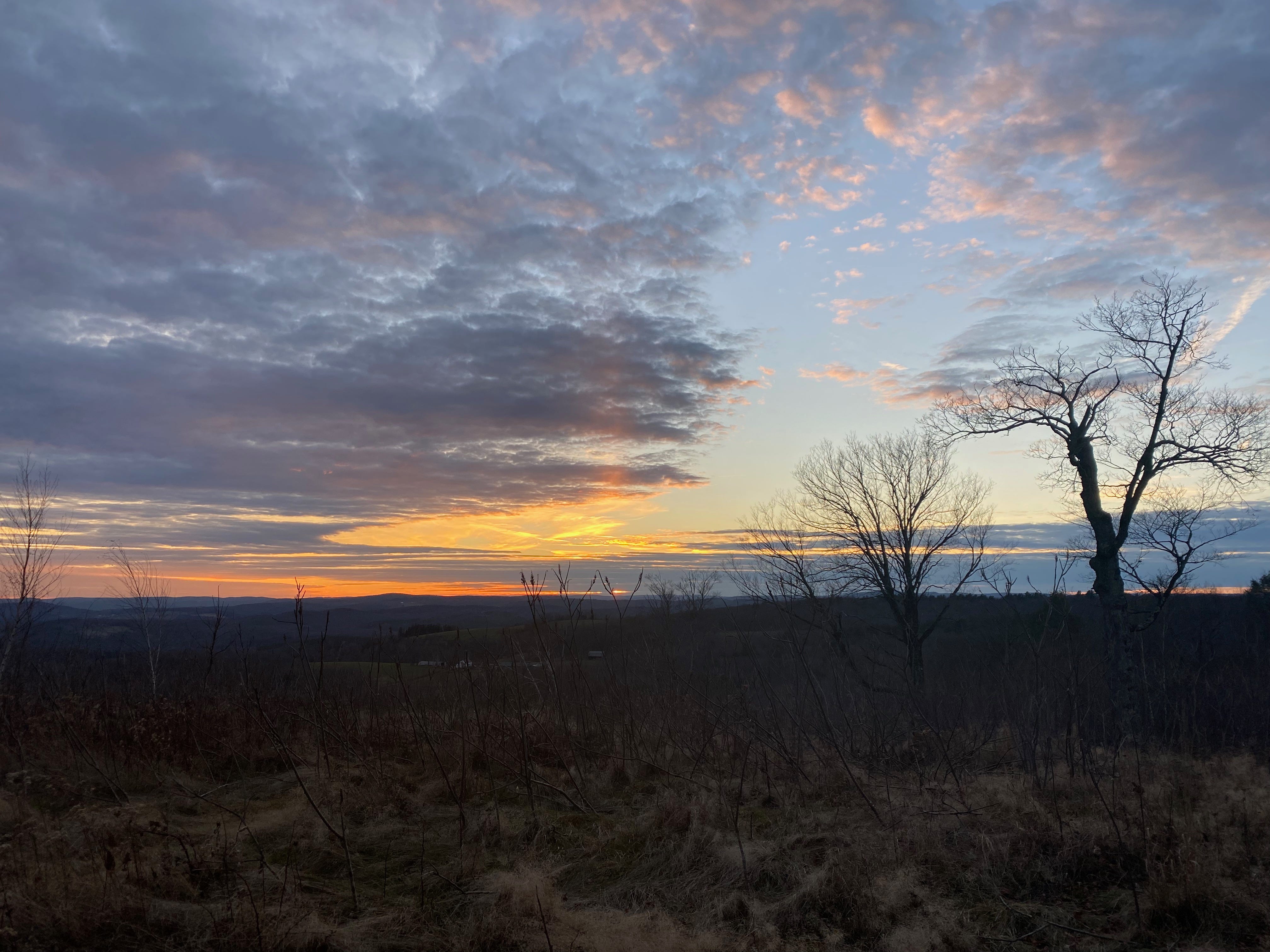 A dark hilltop at sunset. The sky is full of clouds, with gold and orange stripes along the horizon. Several bare trees are silhouetted against the sky.