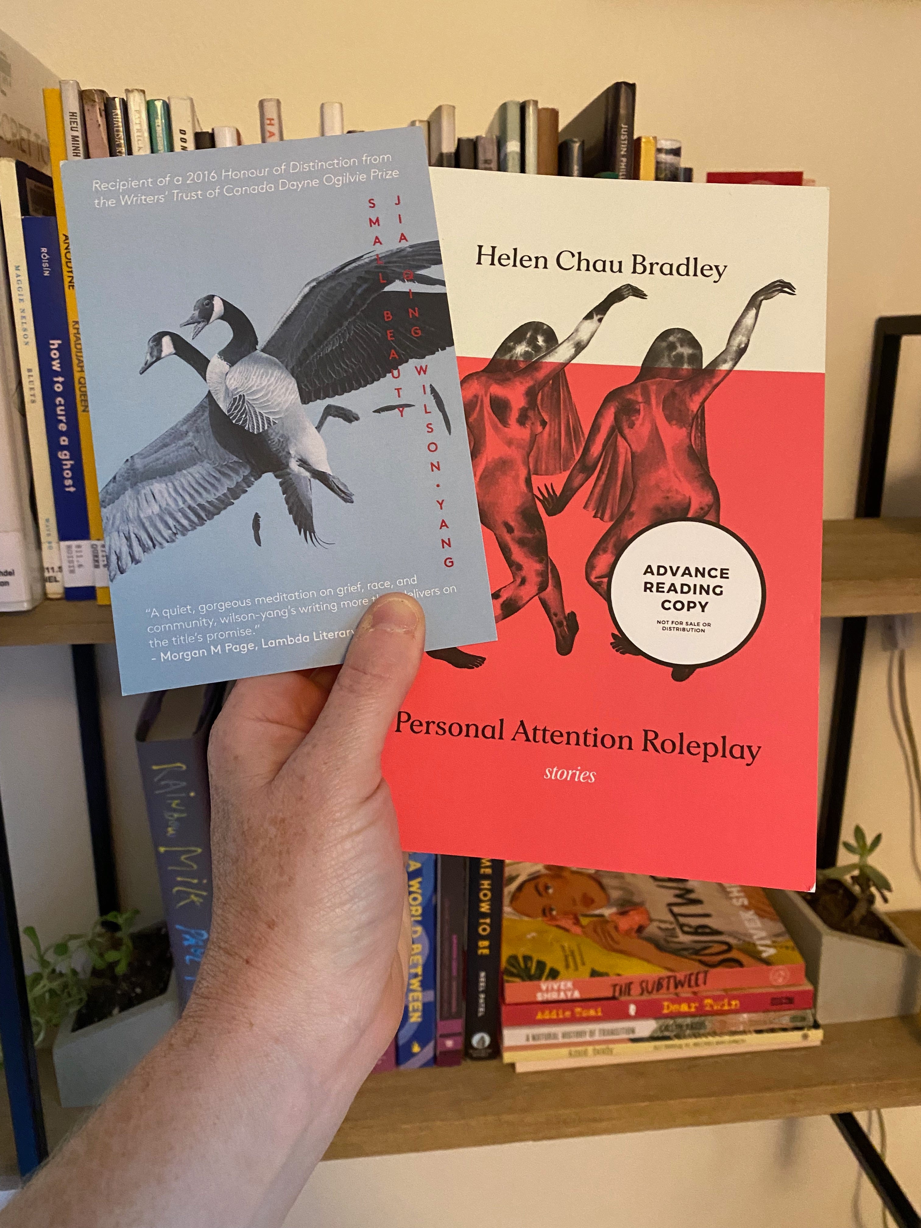 My hand holding an ARC of Personal Attention Roleplay in front of a wall-mounted bookshelf filled with library books. I’m also holding a postcard with an image of the cover of Small Beauty by jia qing wilson-yang.