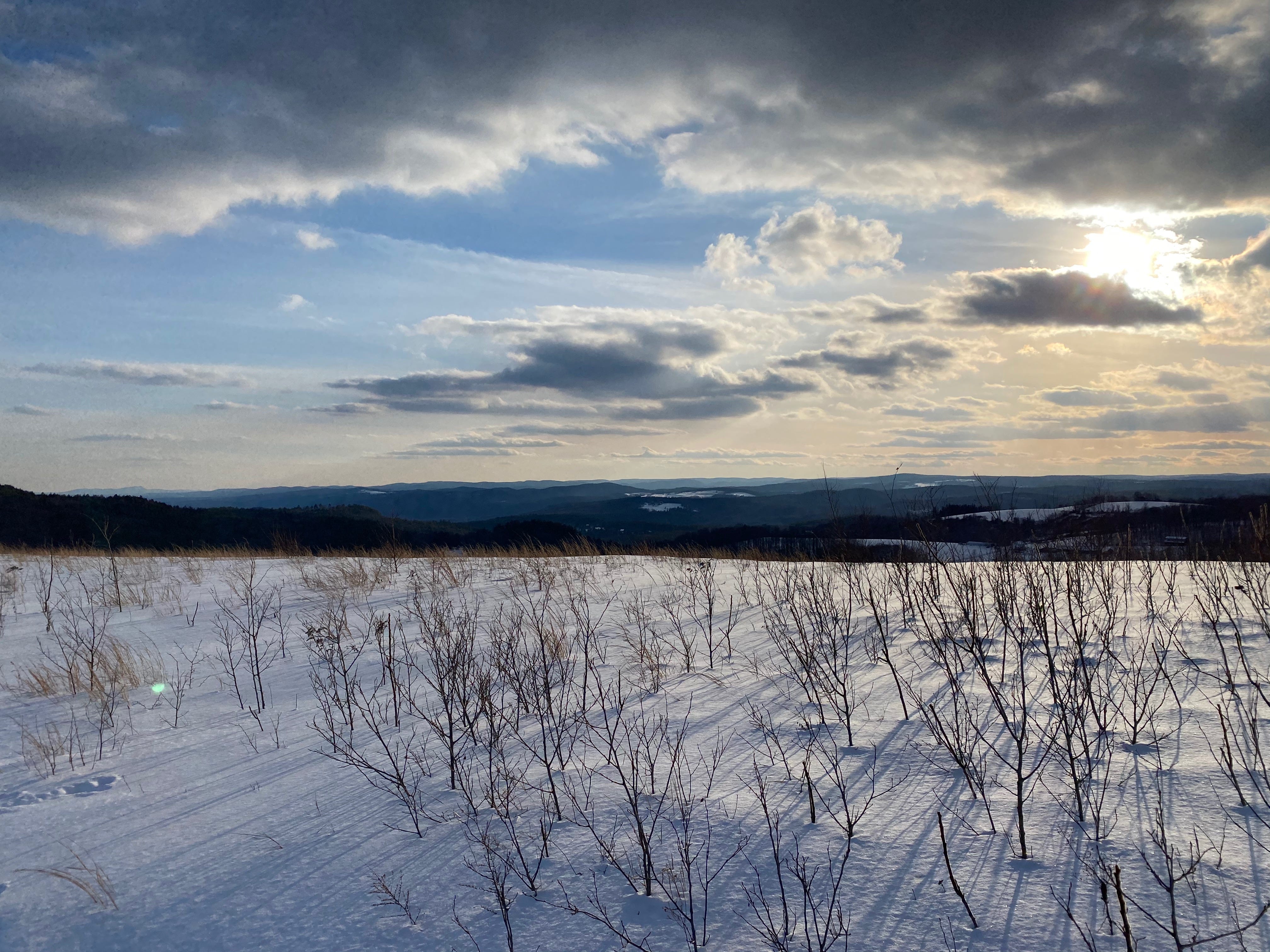 A snowy ridge at sunset. The foreground shows a snow-covered field. Many small saplings cast dark shadows over the snow. Behind the field is an expansive view of dark hills in the distance. The sky is lit up with sunset: a pale golden sun peeks through dark grey clouds.