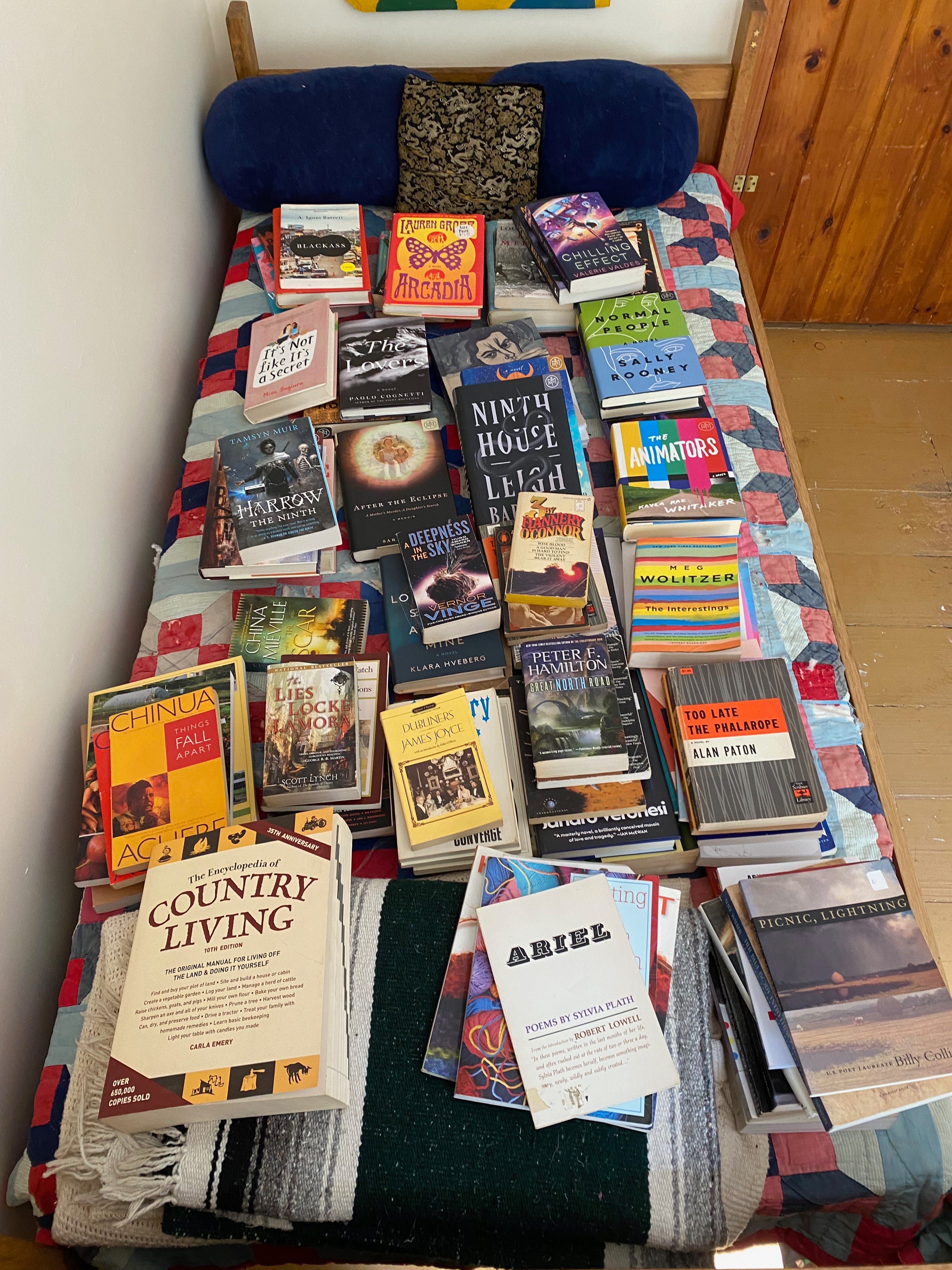 Dozens and dozens of books piled messily on a twin bed.