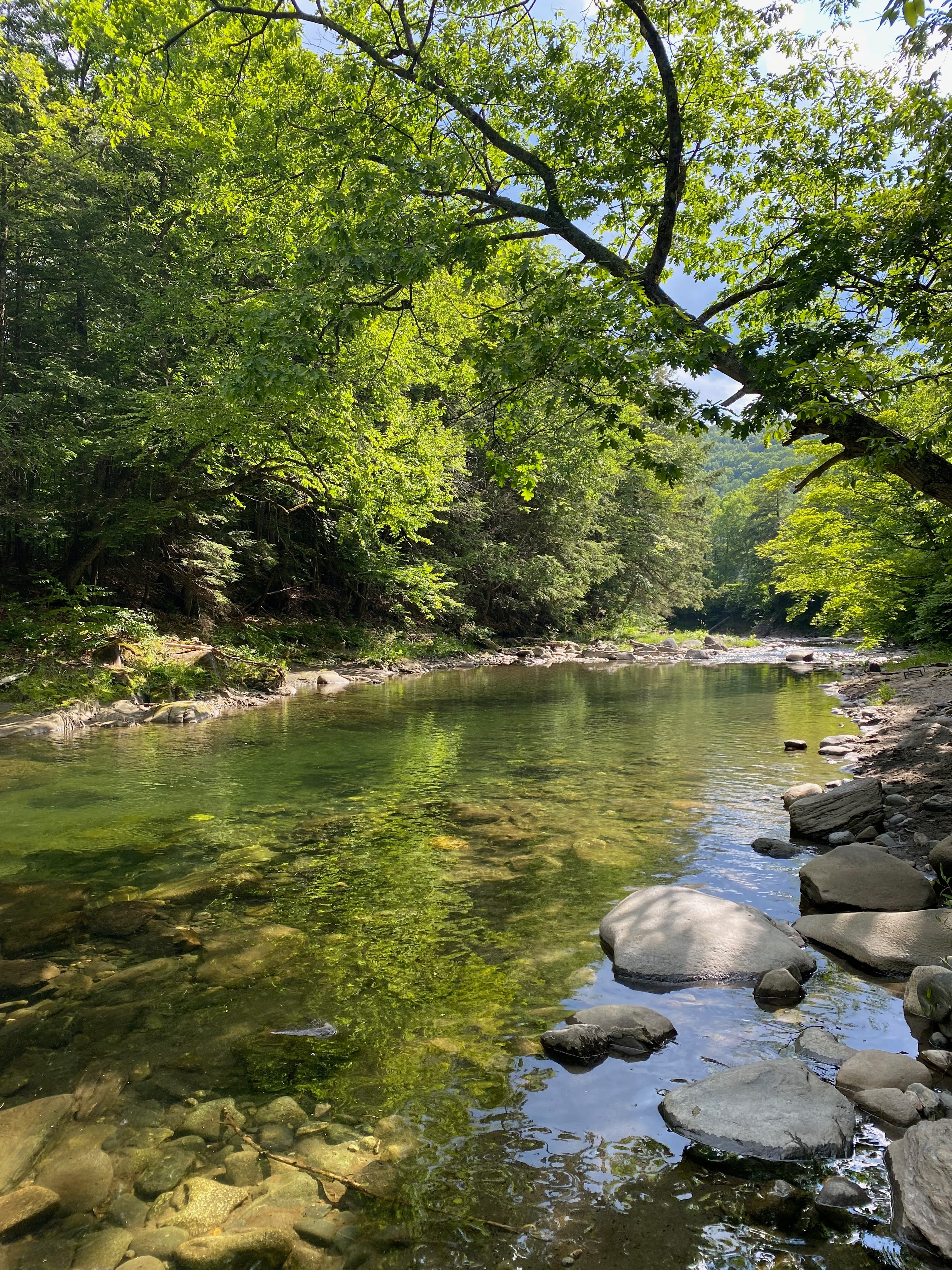A sunlit river, the water reflecting the green of the trees above. There are large flat rocks along the banks, and overhead a canopy of green trees and a blue sky.
