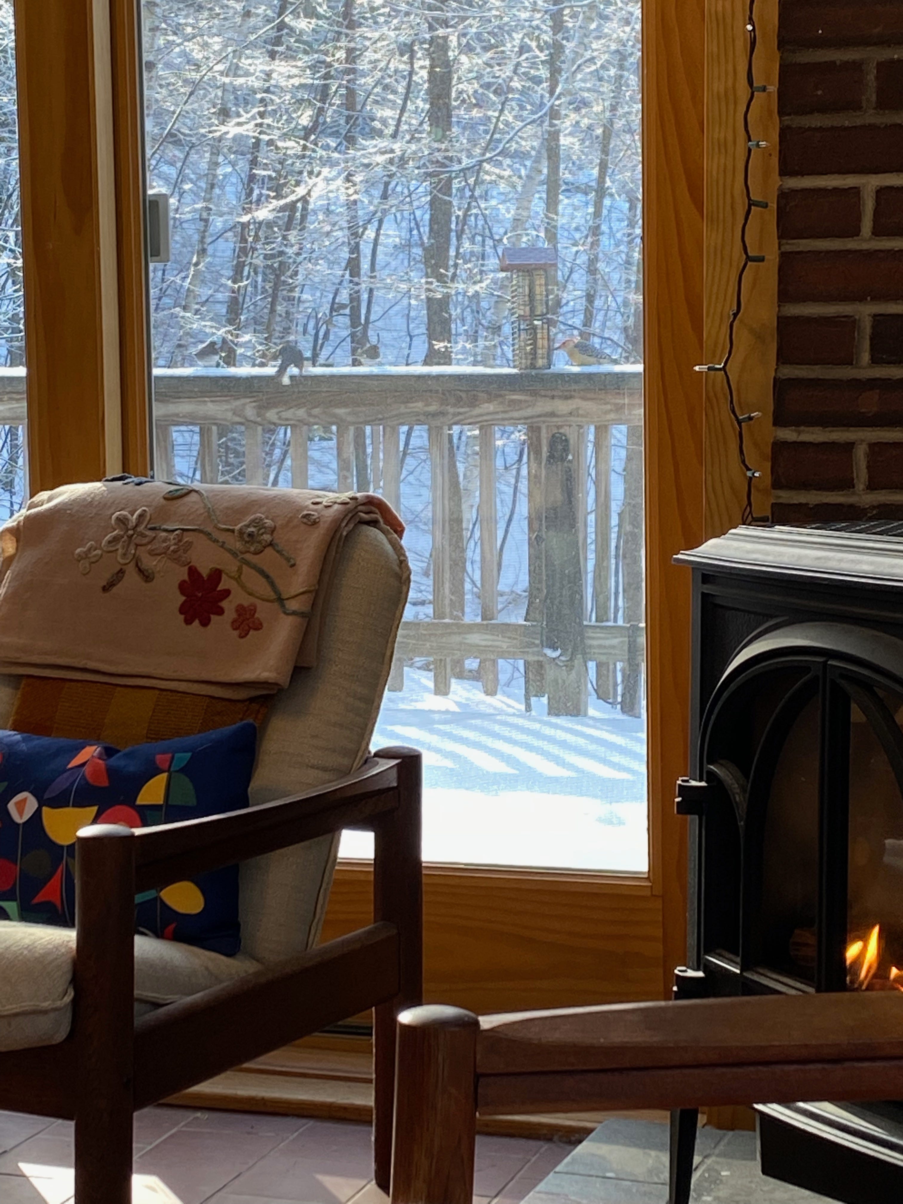 A view looking out a large glass slider. Part of an armchair and propane stove are visible inside; outside, a suet feeder sits on a porch railing. Three juncos sit on the railing next to it, and a red-bellied woodpecker pecks at the suet.