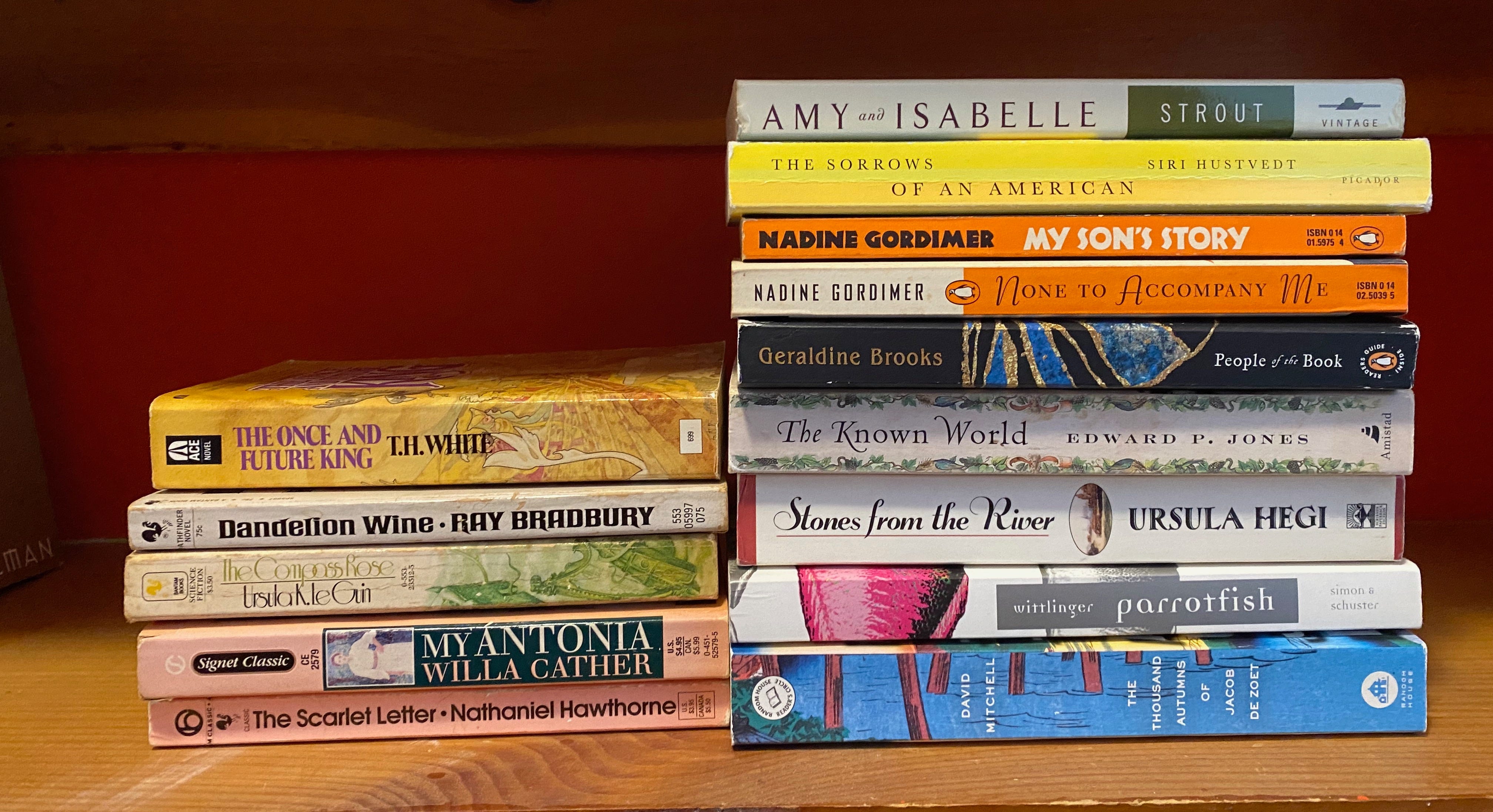 Two stacks of paperbacks side by side on a shelf.