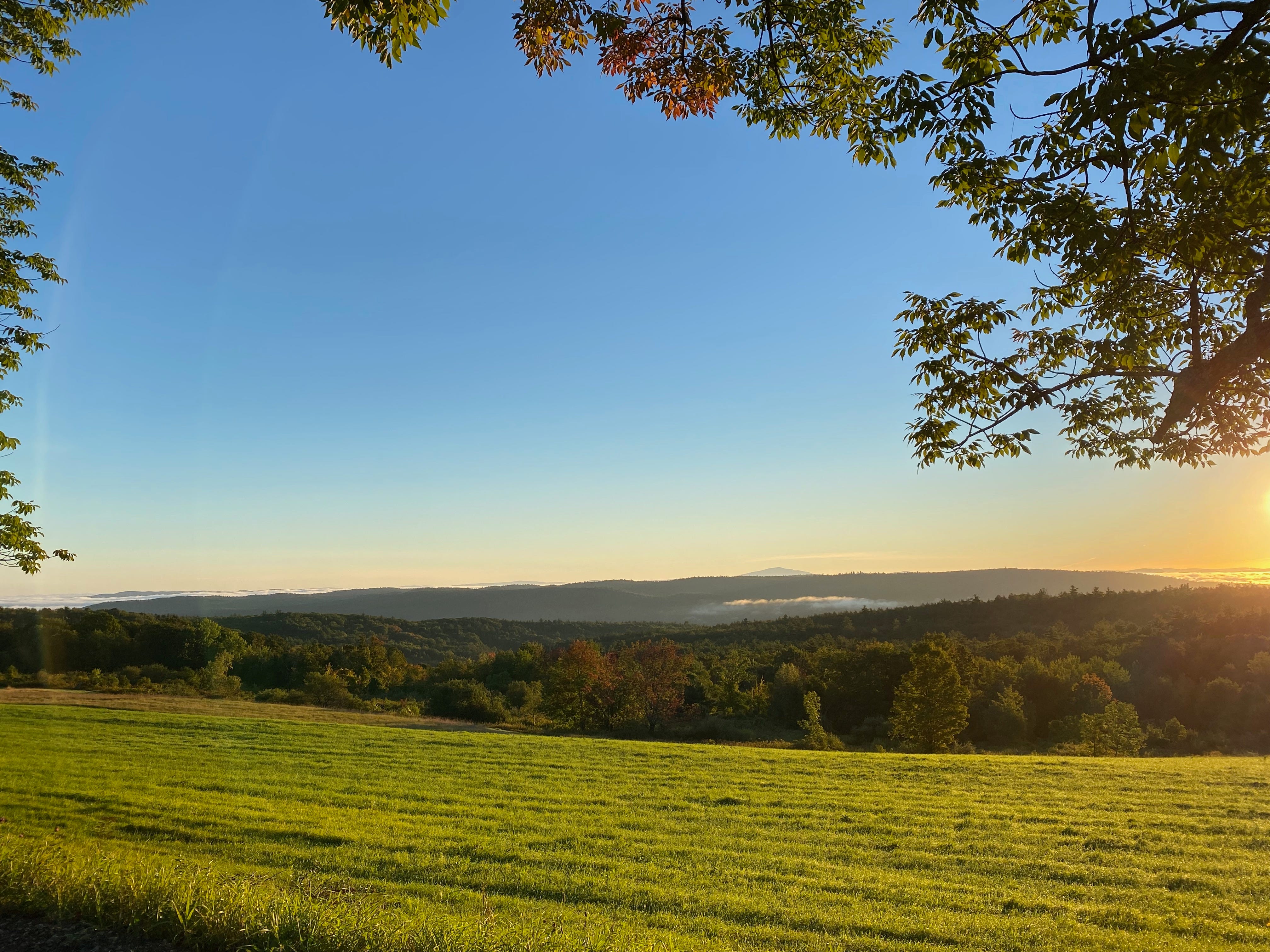 A sunrise vista of a bright green field in front of view of mountains and hills. Pools of cloud sit in and among the hills on the horizon. The sky is a deep blue that fades to orangey gold on the horizon. The tips of several tree branches are visible in one corner of the sky.