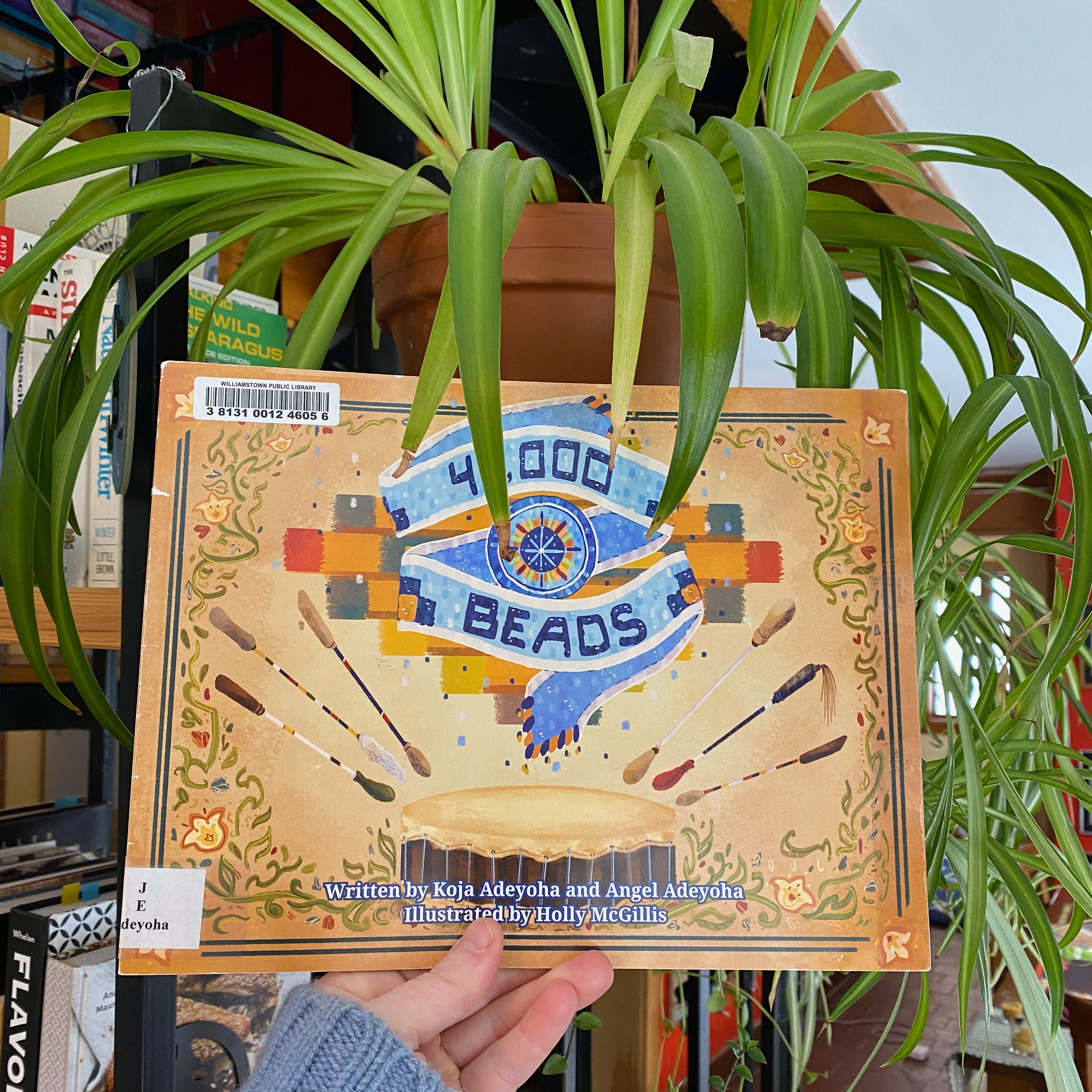 I’m holding this book up in front of a thriving spider plant.