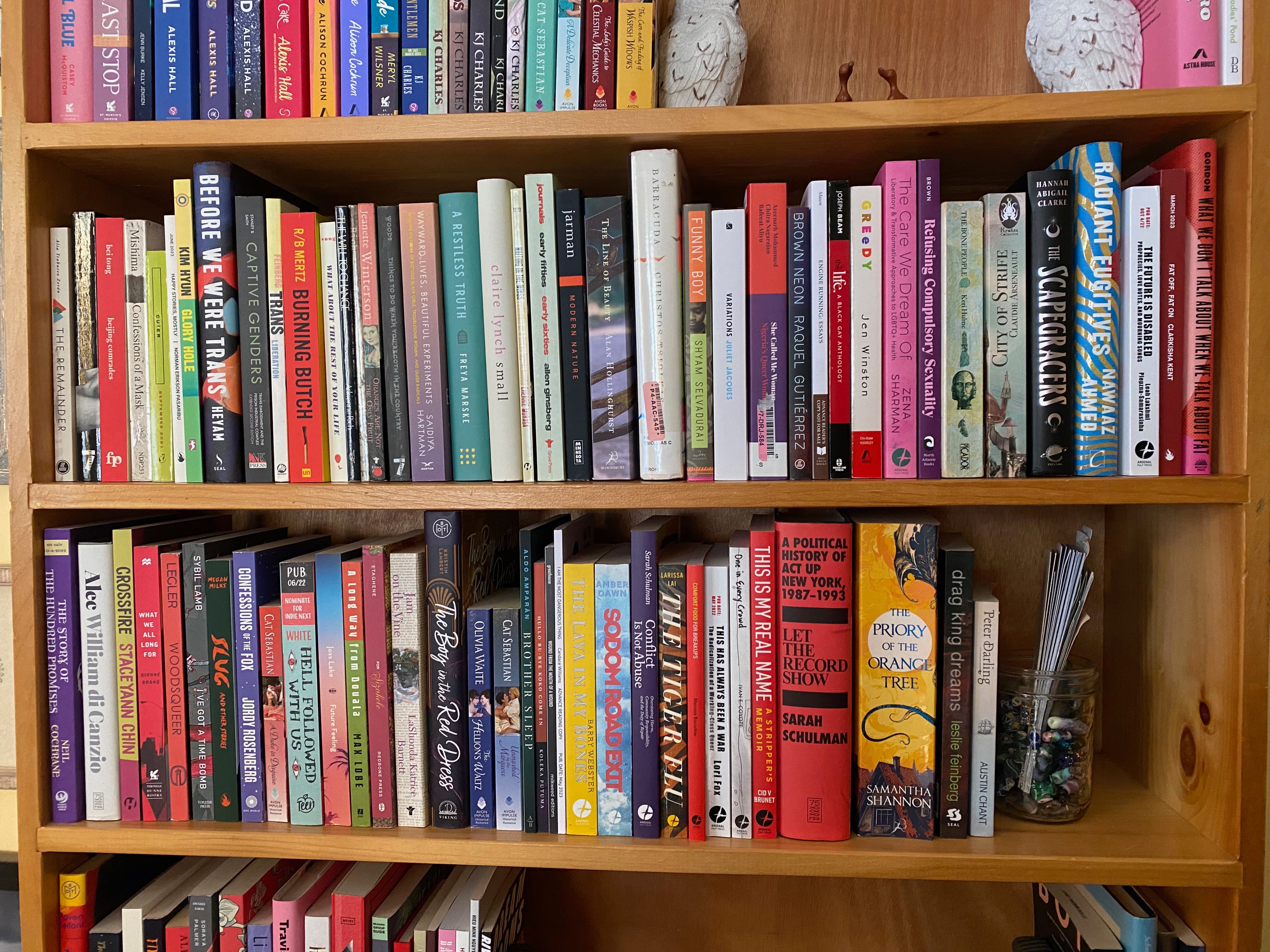Two long wooden shelves stuffed with books, all of which are queer.