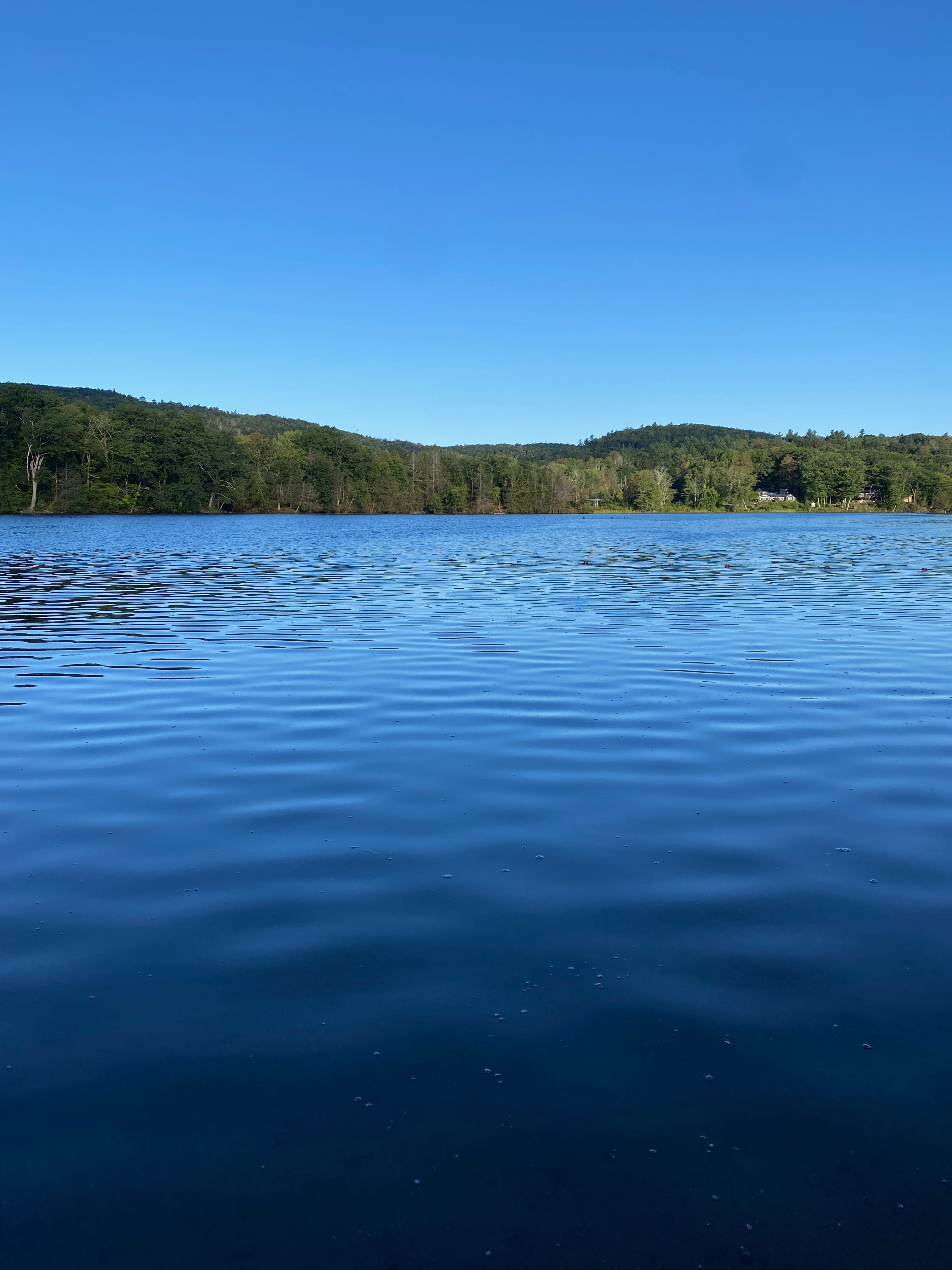 Ashfield Lake on a clear day, the sky a deep blue, the lake’s surface dark and rippled.
