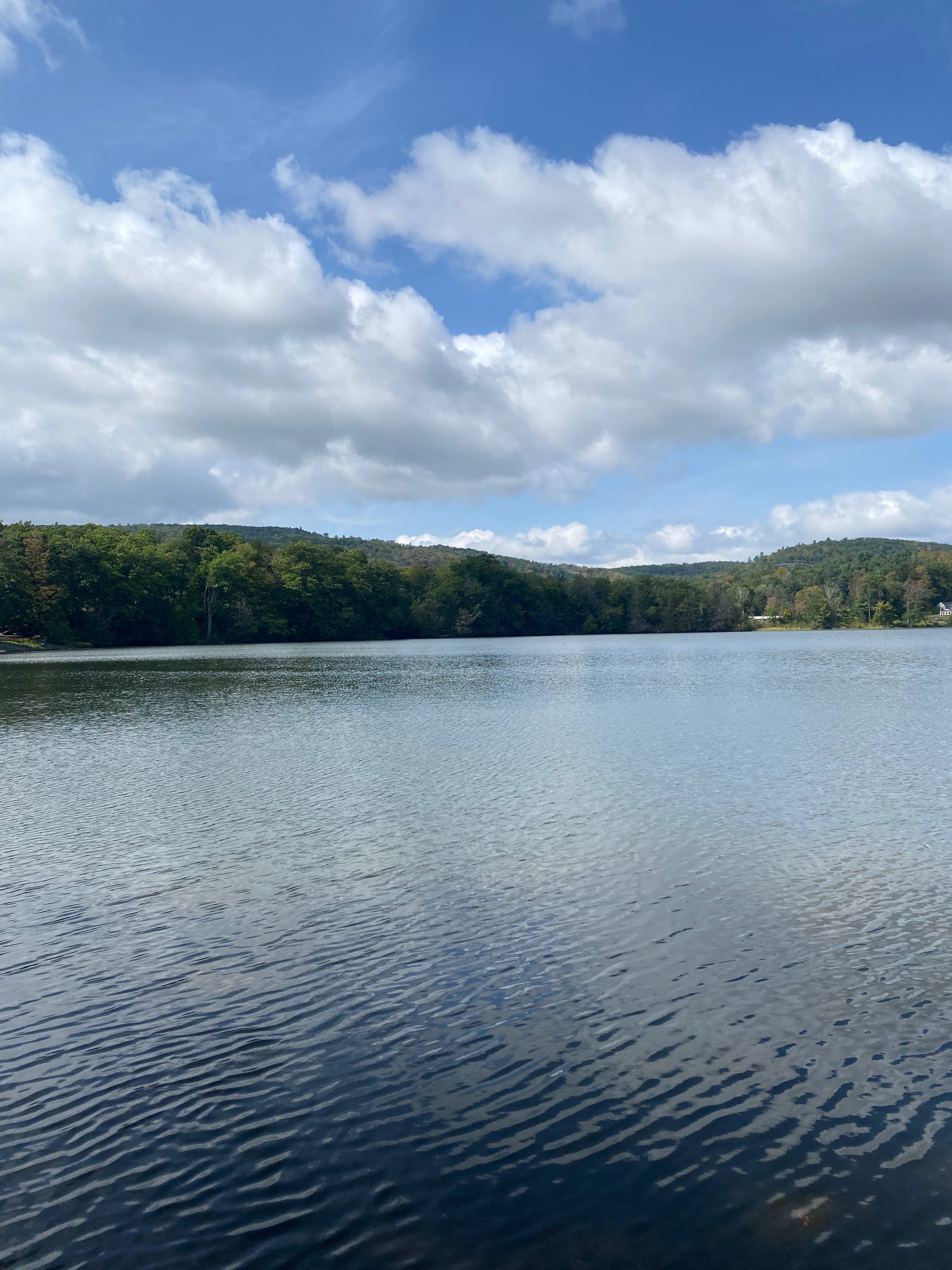 View of Ashfield Lake under a blue sky full of white clouds, surrounded by green hills.