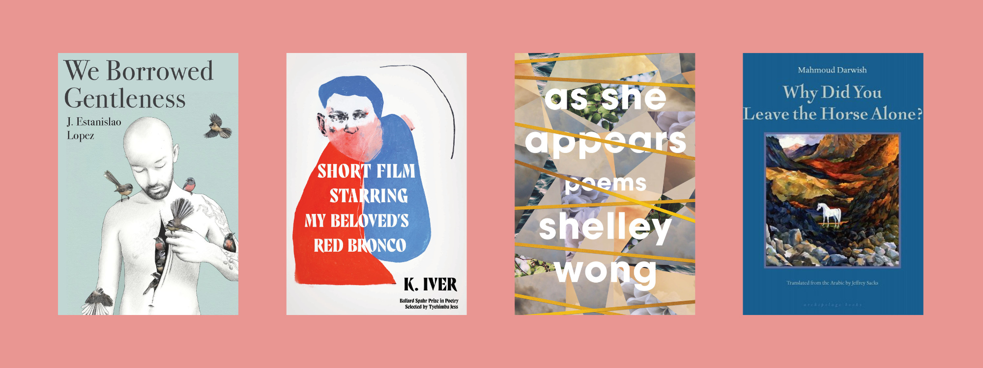 Small cover images of the listed books on a pale pink background.