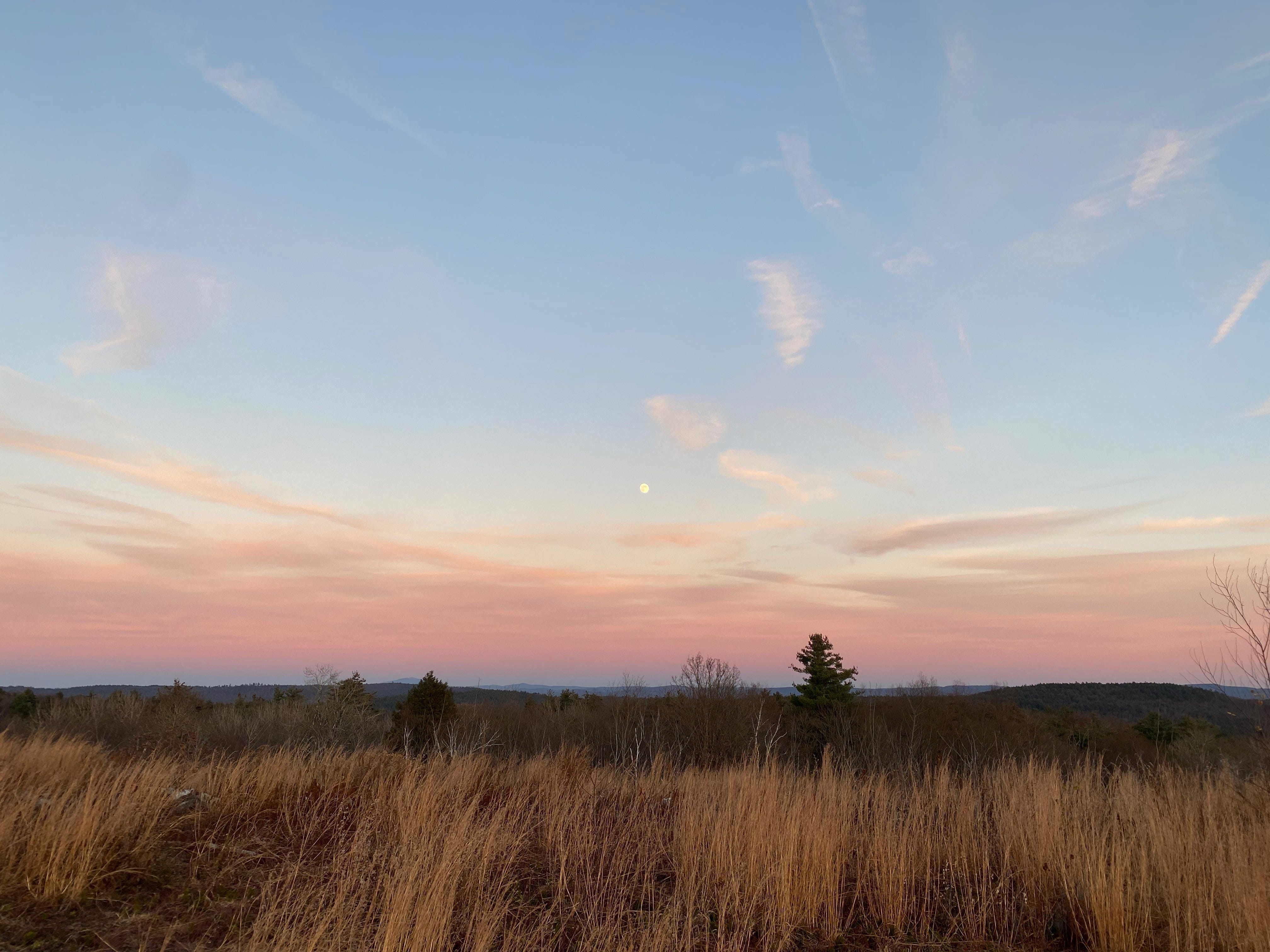 Vista of a ridgetop field. The horizon is pink and orange, the sky above pale blue. The moon is small and white.