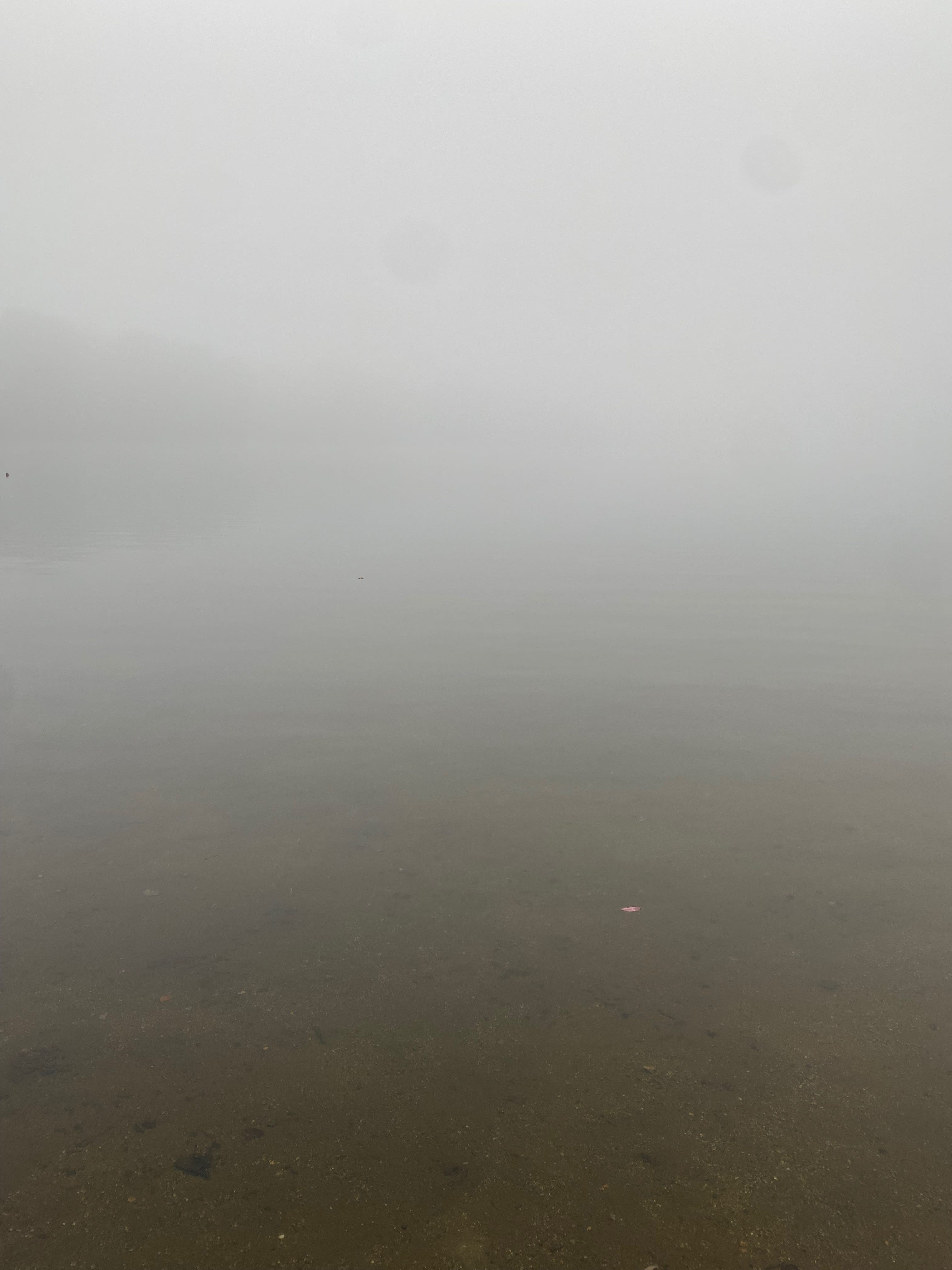 Ashfield Lake in the fog; the water is basically invisible in the mist.