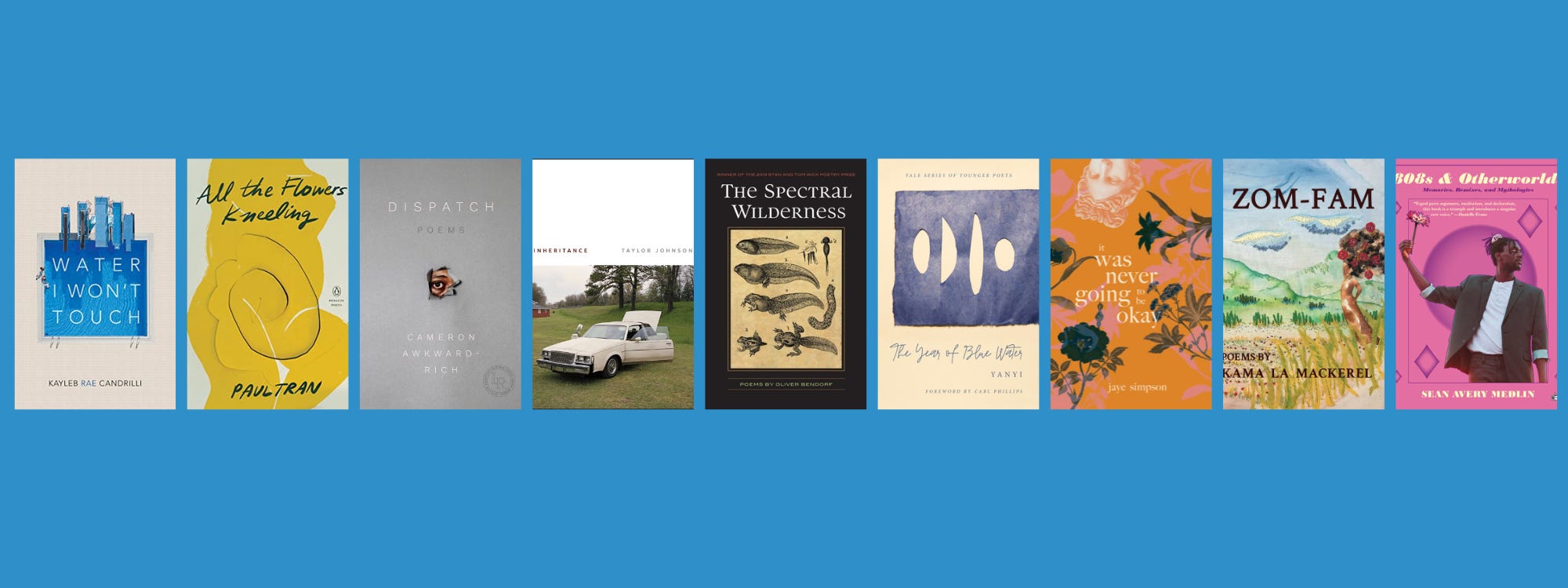 Small cover images of the listed books on a blue background.