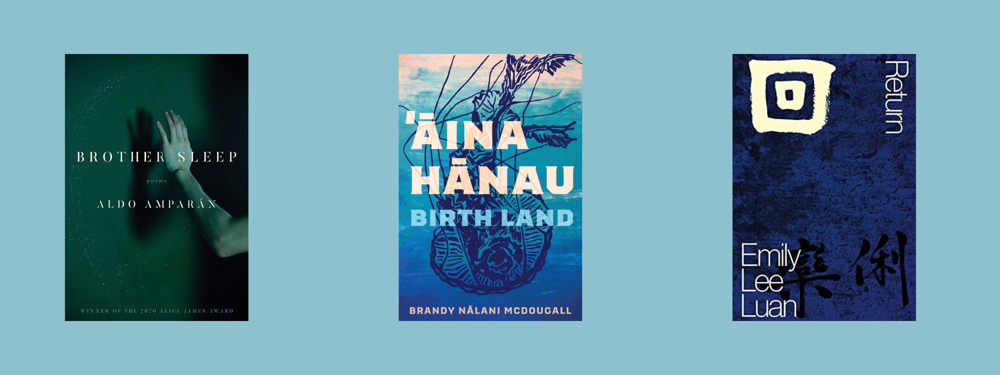 Small cover images of the listed books on a blue background.