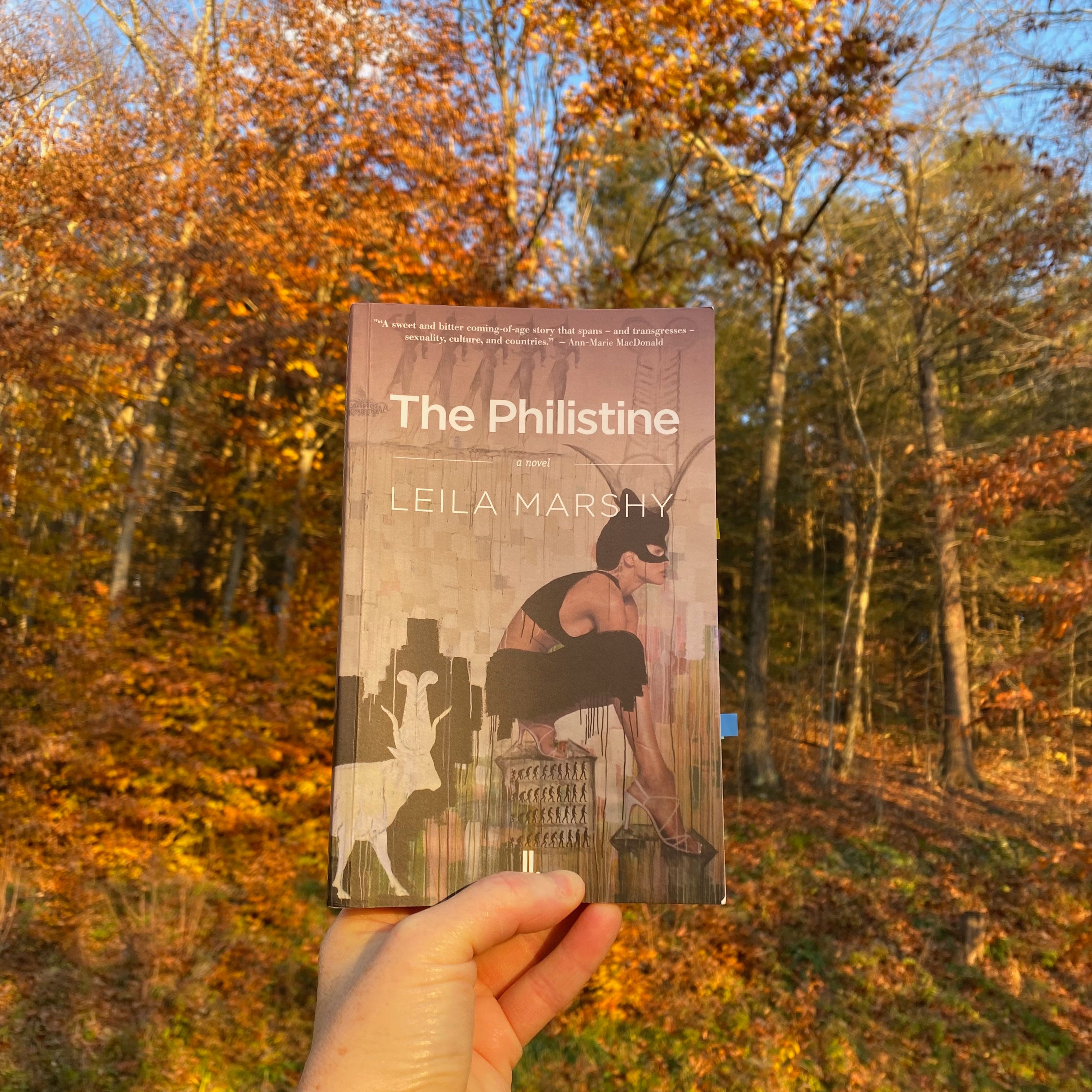 I’m holding this book up in front of a stand of golden beech trees.