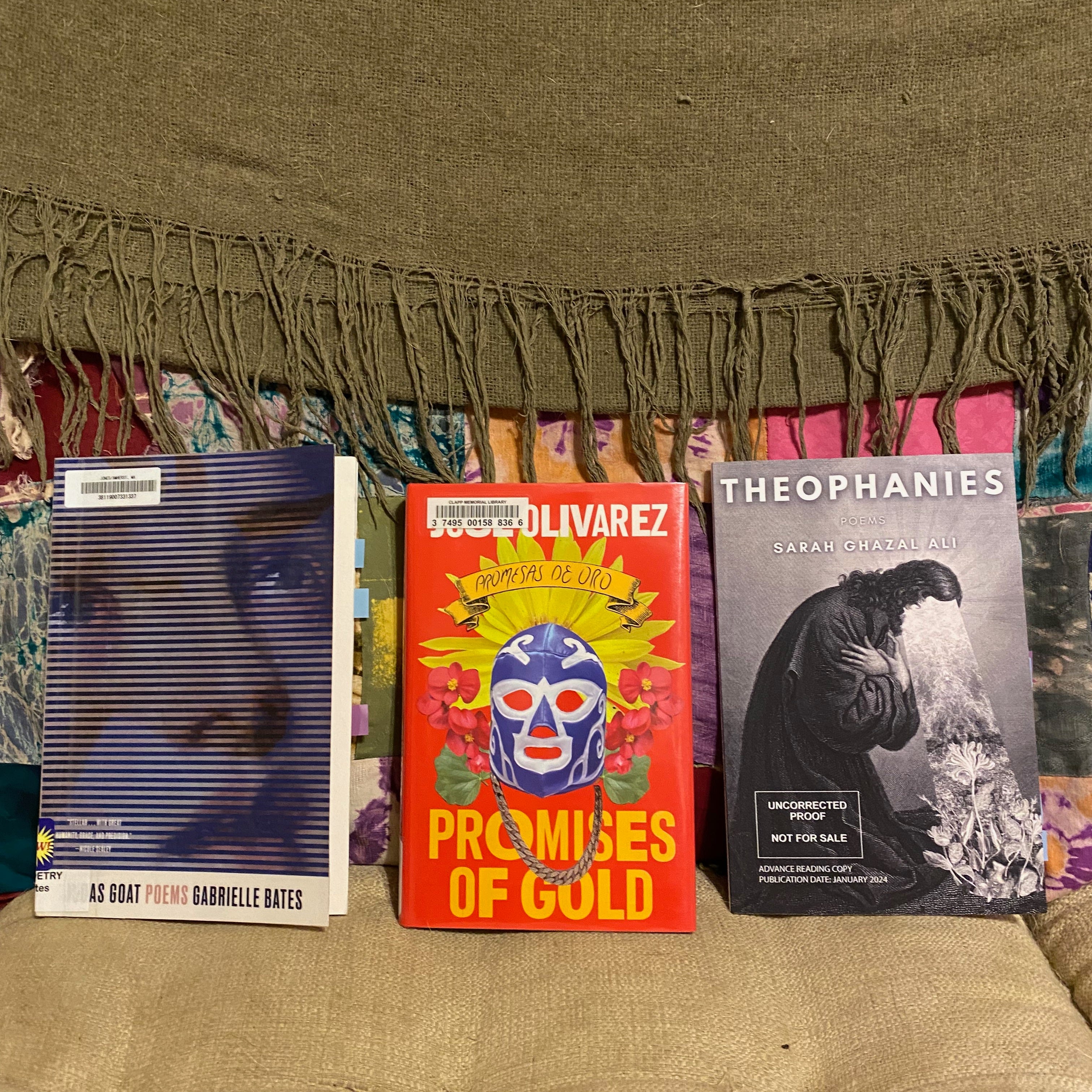 The three listed collections leaning in a row against the back of couch, covered with a colorful quilt and a grey fringed blanket.