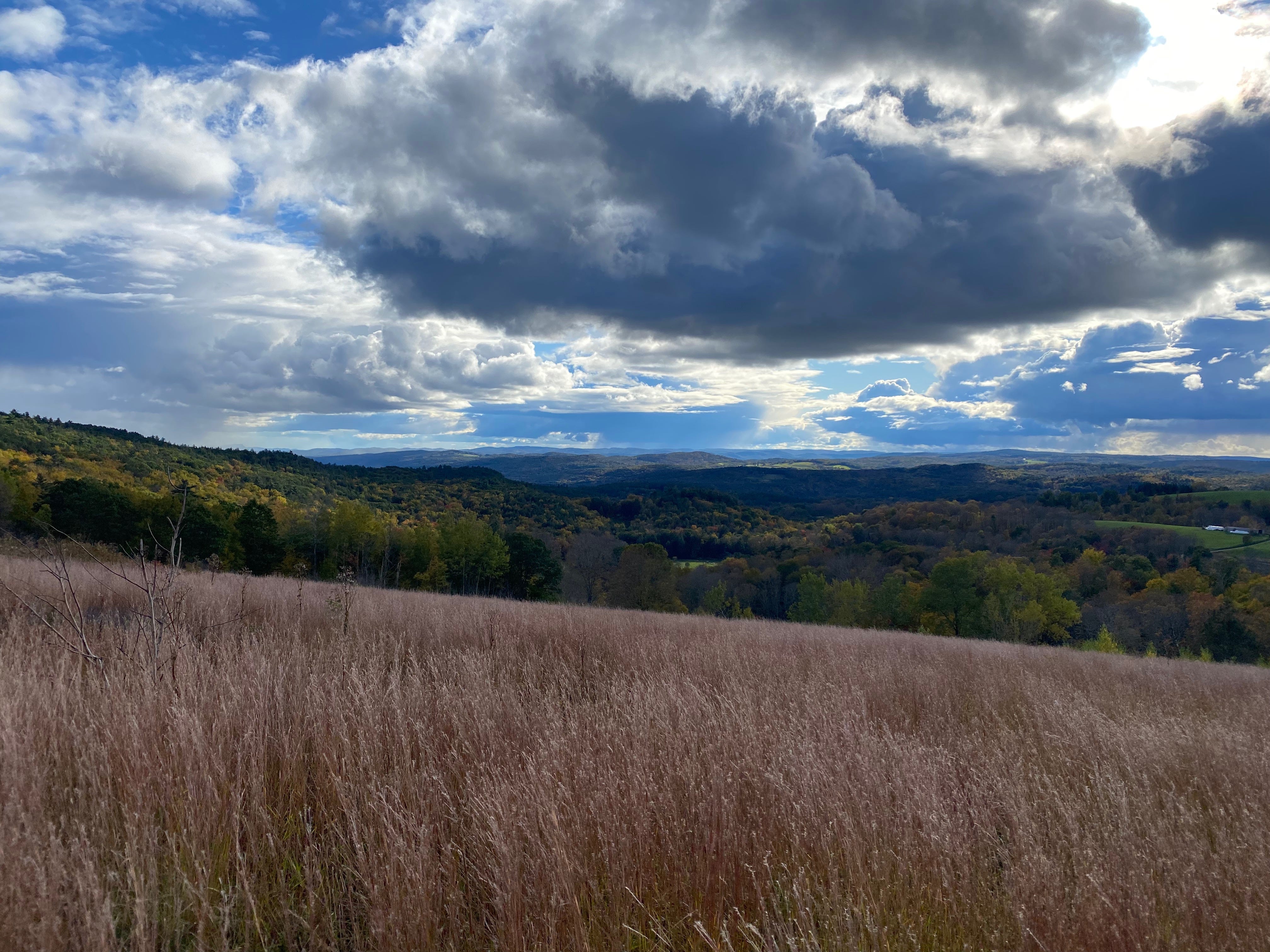 View of a field of sparkling brown grass on a hillside, looking out toward a vast stretch of hills, covered in fall trees, under a bright sky illuminated by silver clouds.