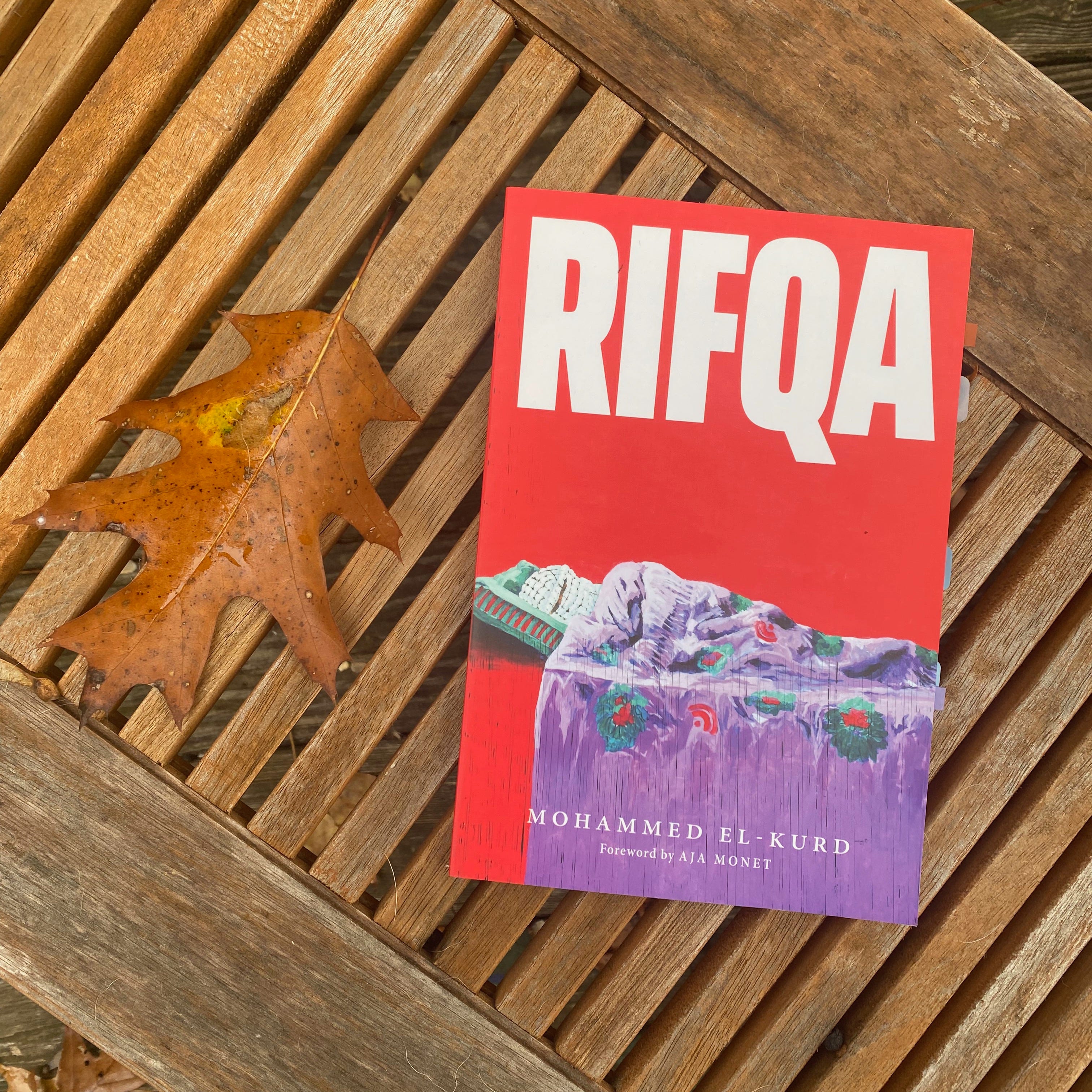 Rifqa on a porch table next to one brown oak leaf.