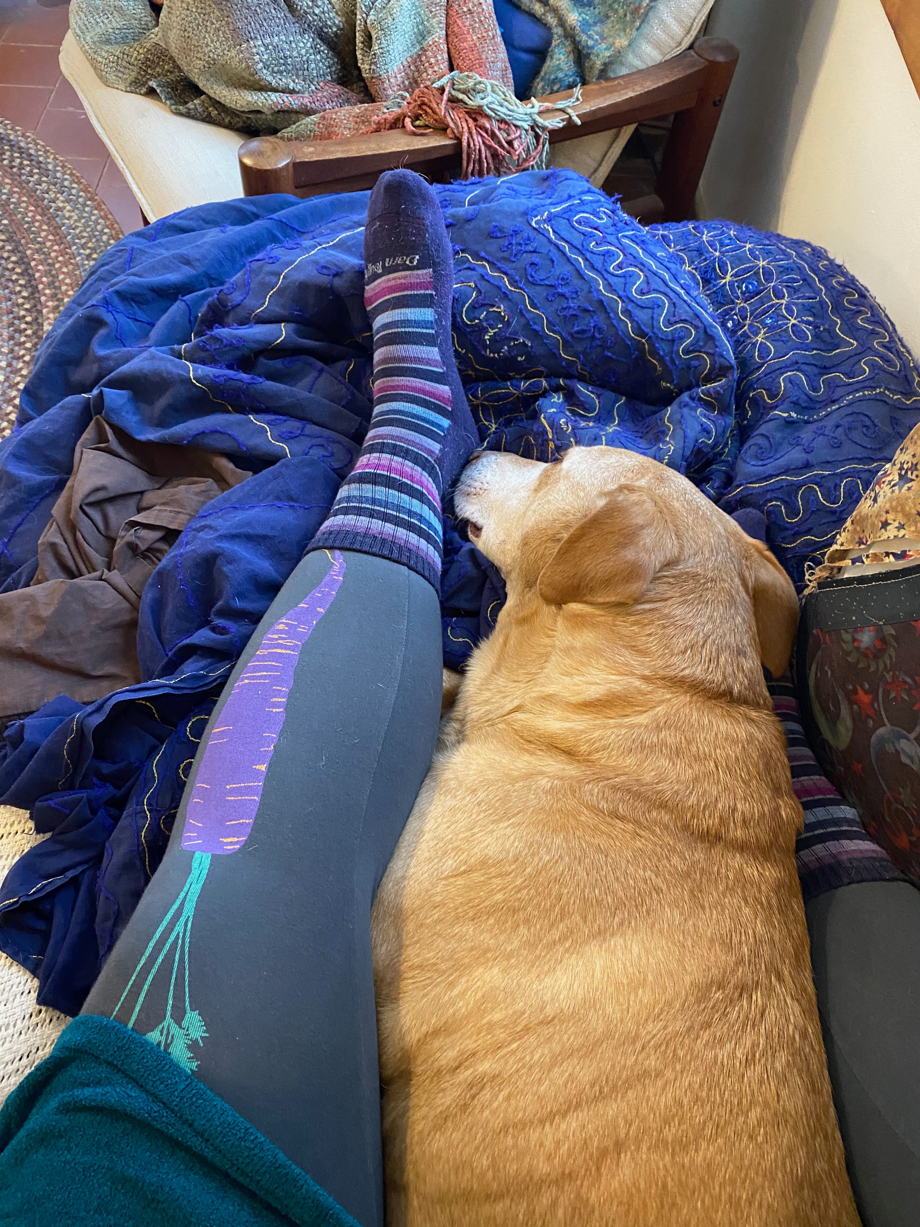 Nessa lying next to my outstretched leg, her nose touching my foot. I’m wearing leggings with a big carrot on them.