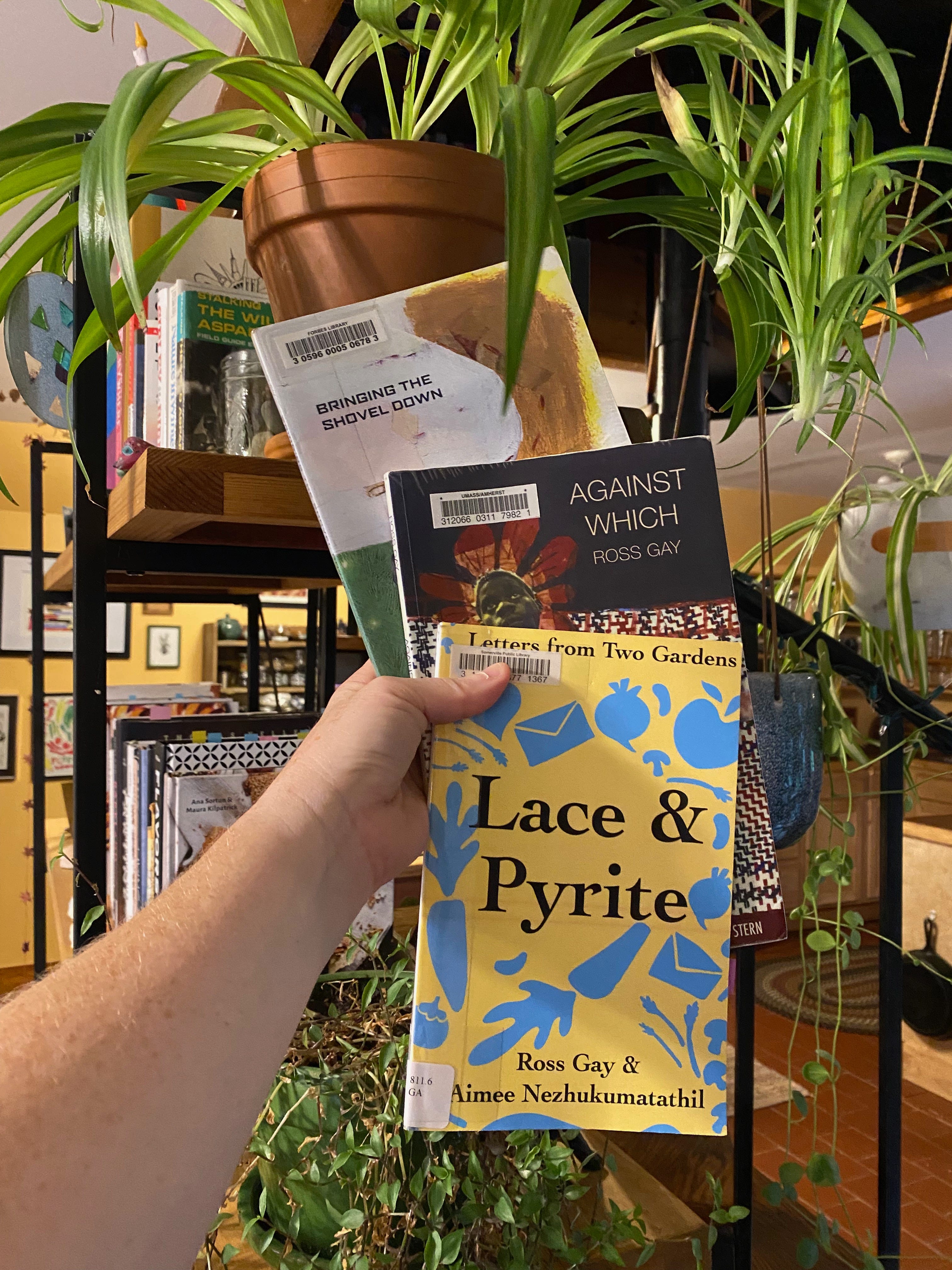 I’m holding the three mentioned collections in one hand in front of a bookshelf and a spider plant.