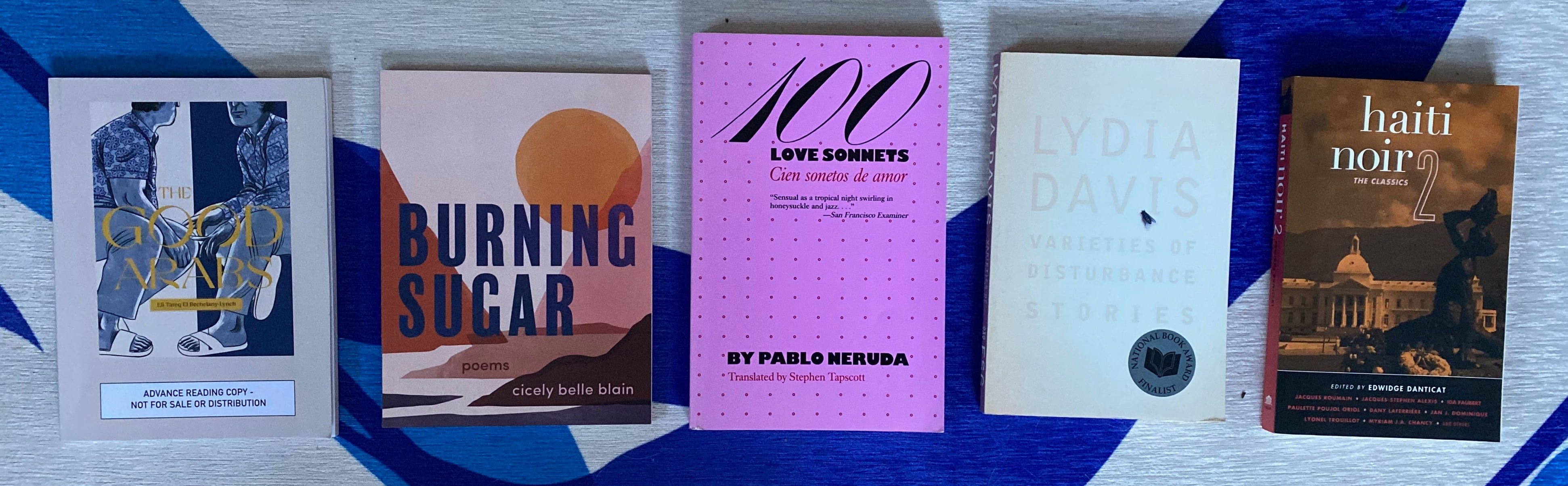 The listed books spread out in a row on a blue and white rug.