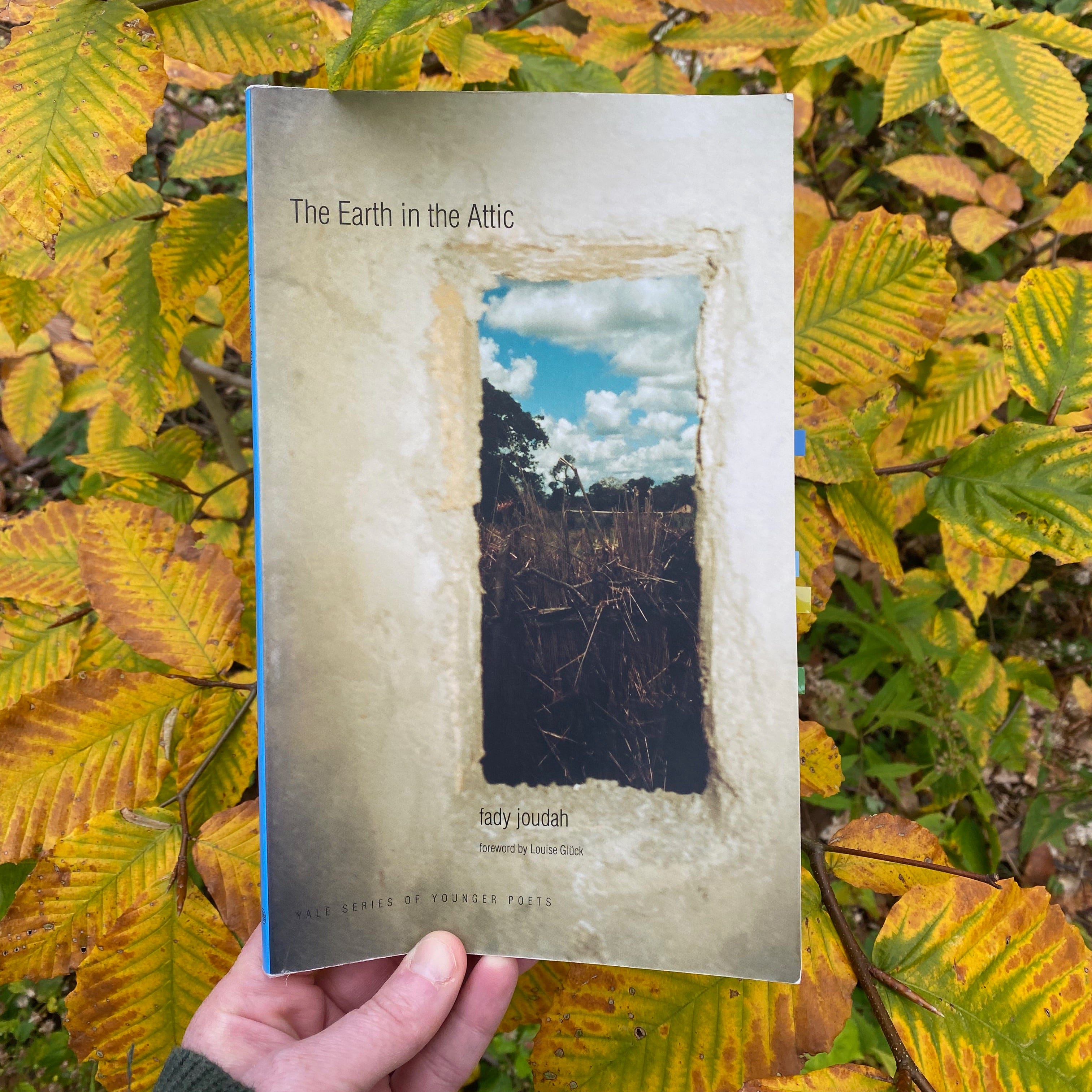 I’m holding this book in front of a branch of green and gold beech leaves.