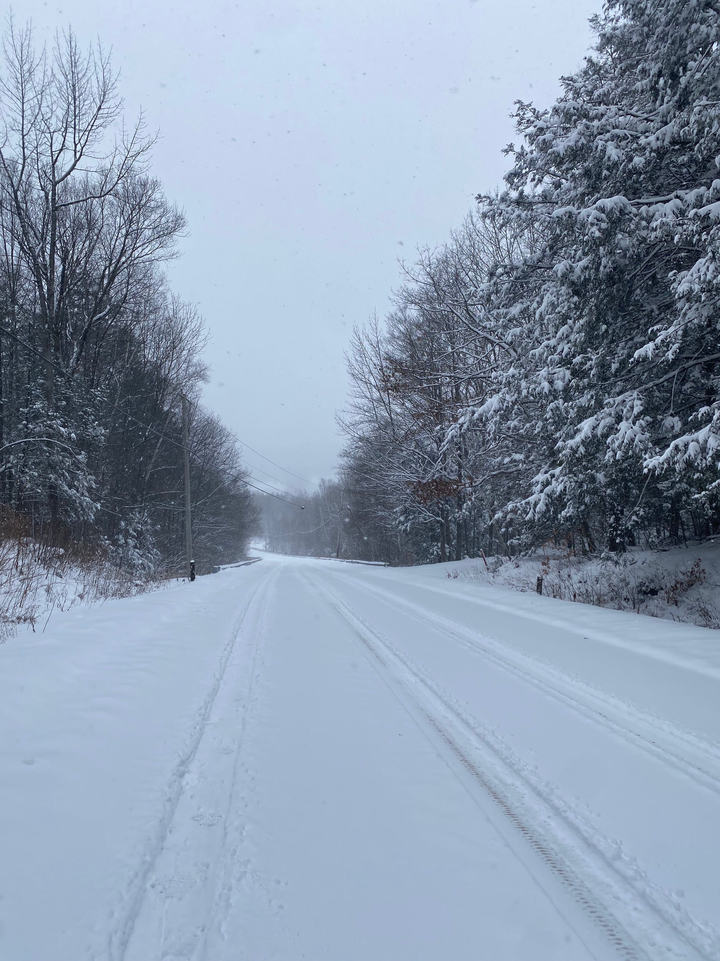 A snowy road under a white winter sky, surrounded by snowy evergreen trees.