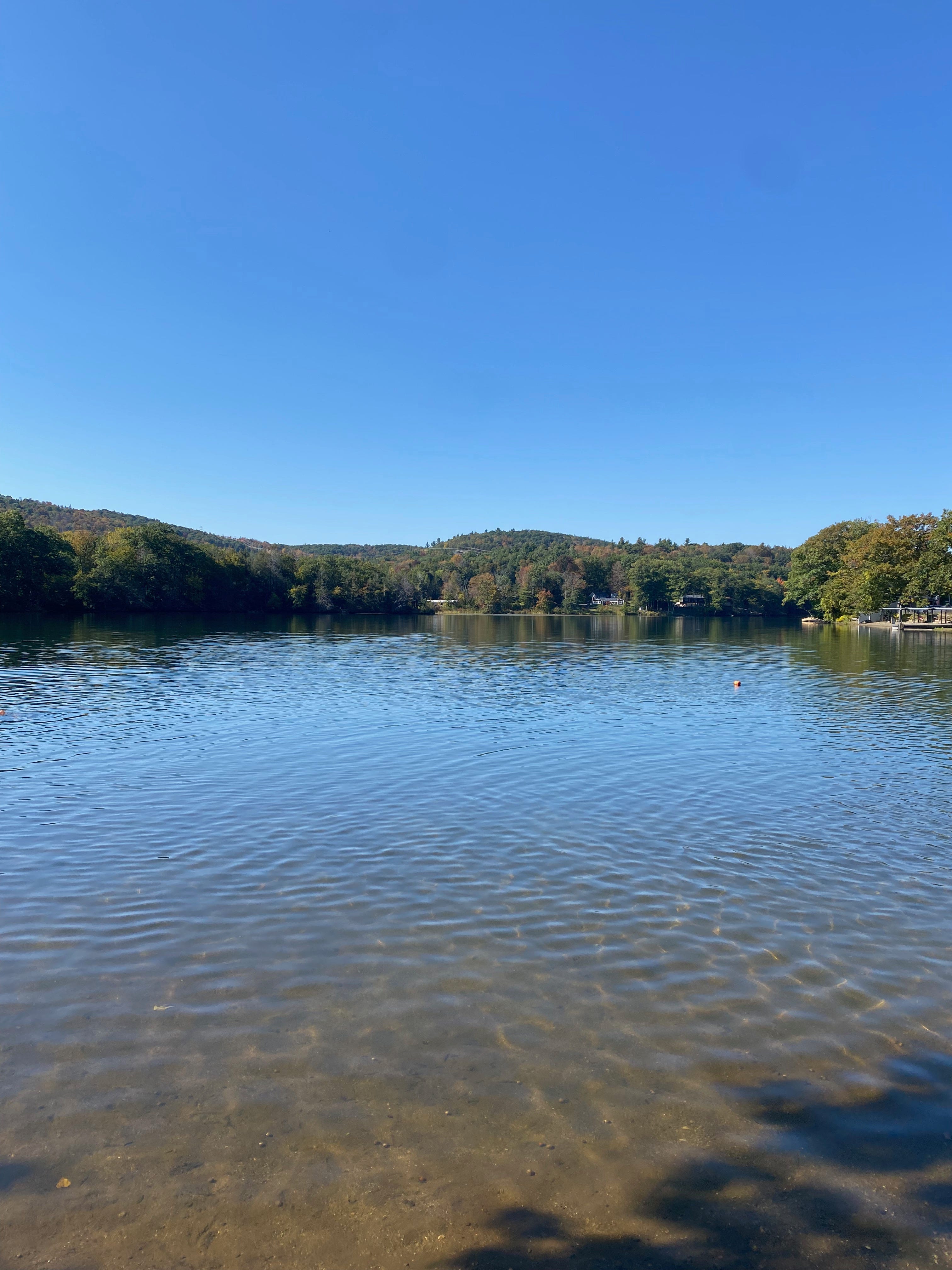 The rippled blue surface of Ashfield Lake below a bright blue sky, surrounded by low green hills.