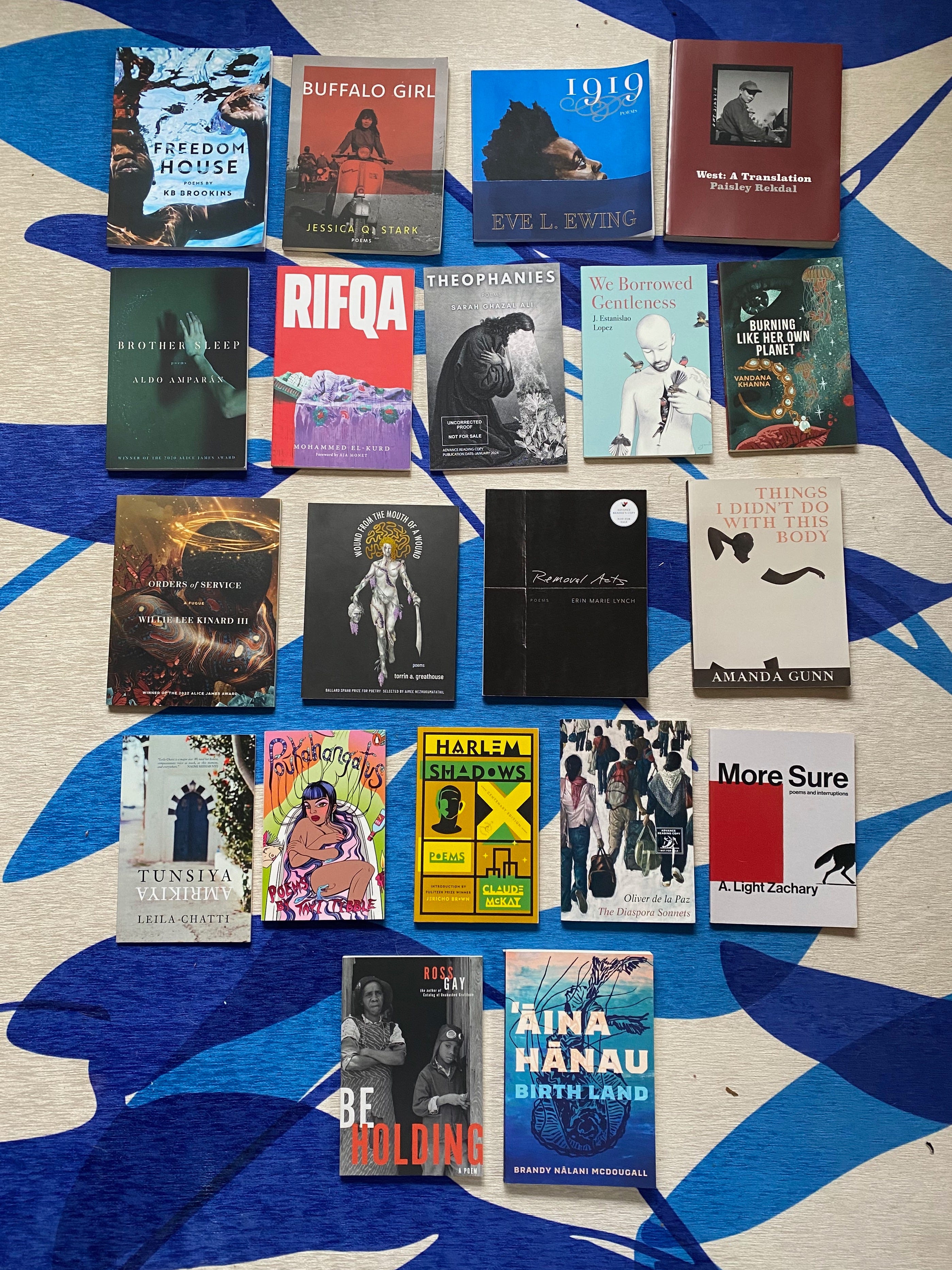 16 of the listed collections spread out in a grid on a blue and white rug.