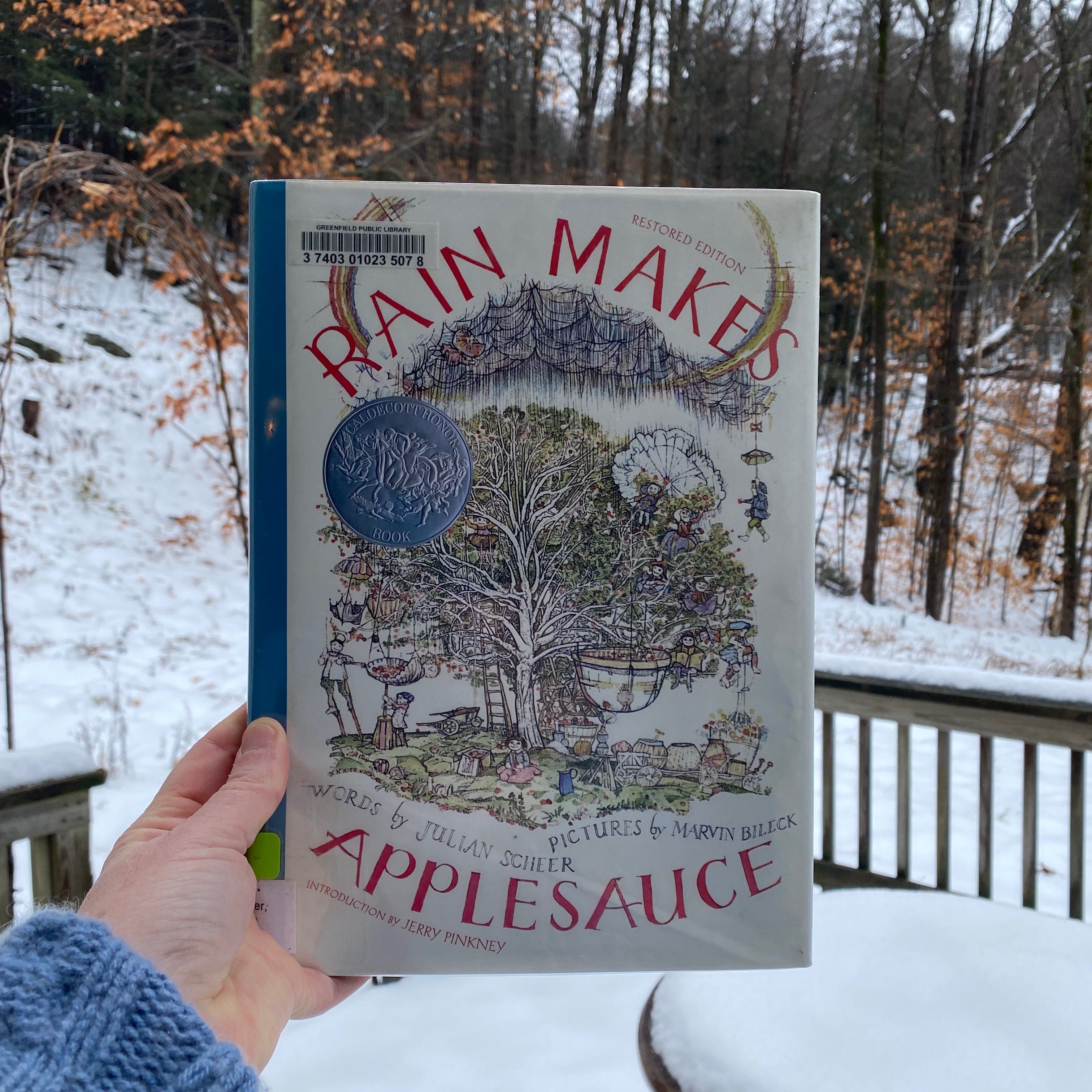 I’m holding up this book in front of a snowy yard.